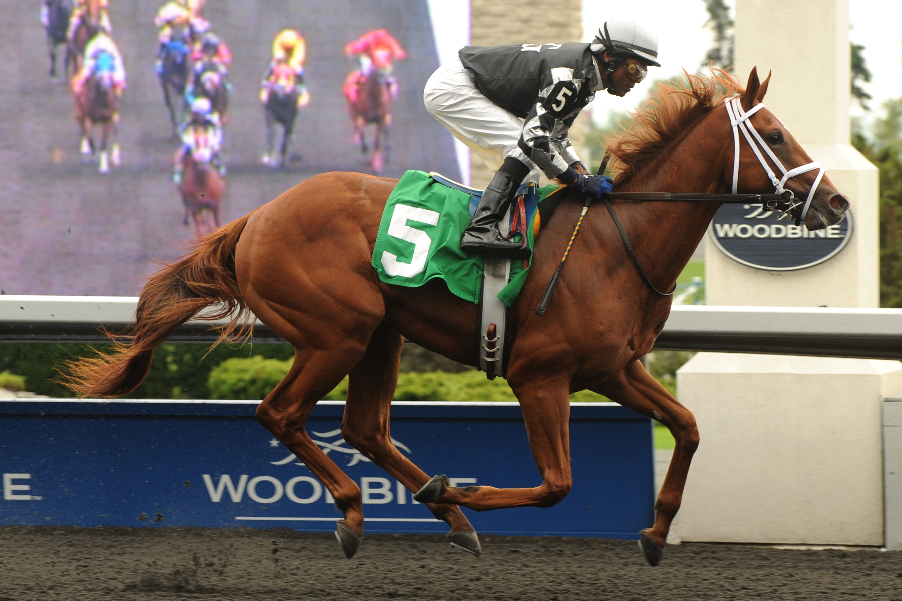 Honorable Guest/maiden win