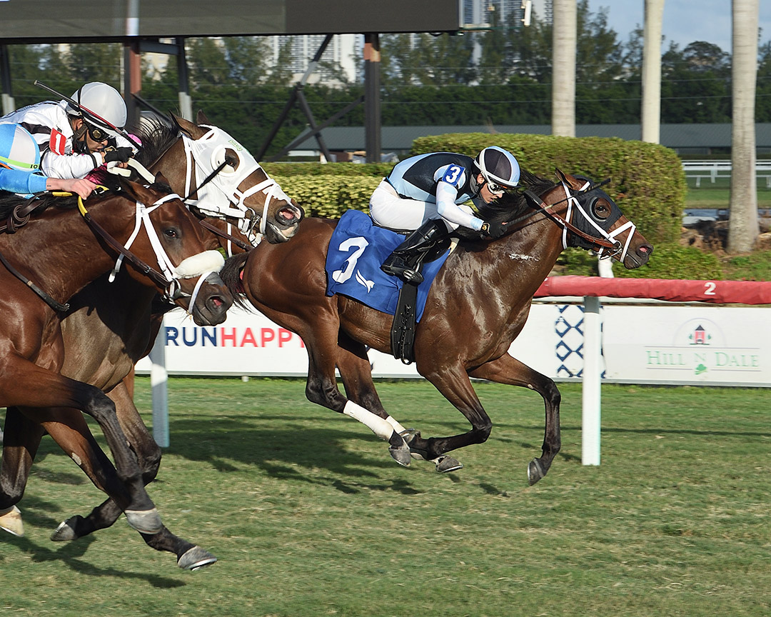 Honorable wins a Dec. 18 starter optional claiming race at Gulfstream Park