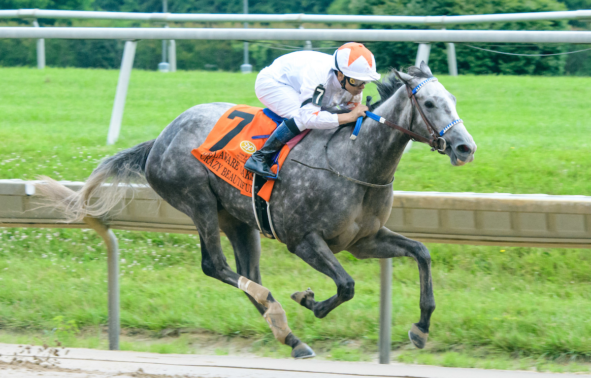 Crazy Beautiful wins Delaware Oaks 7-3-2021