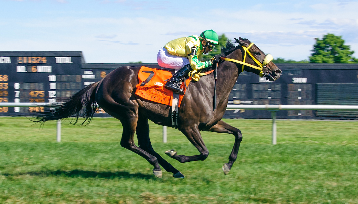 Tricky Escape wins the 2018 Robert G. Dick Memorial