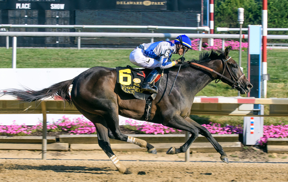 Elate wins the 2018 Delaware Handicap