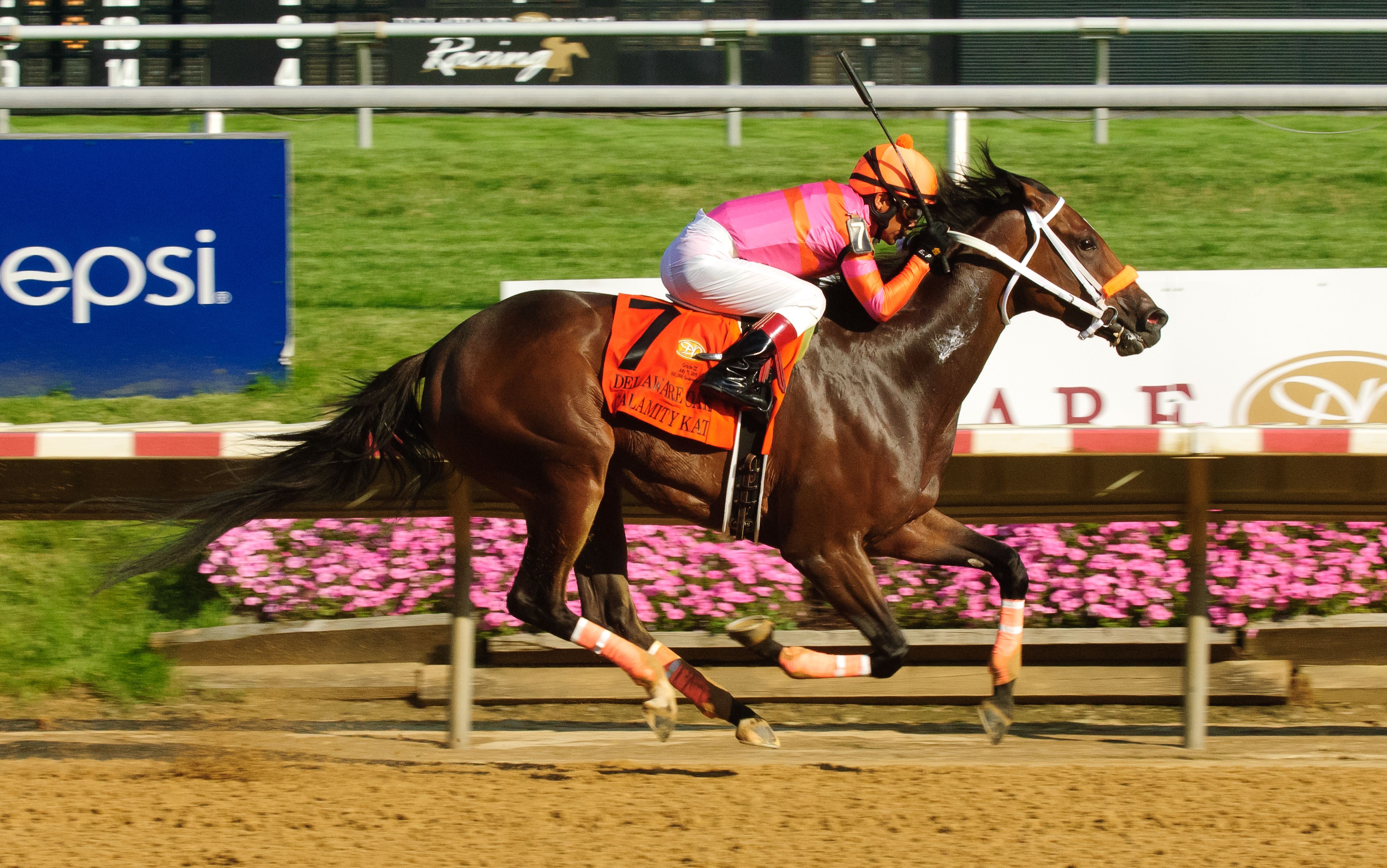 Calamity Kate wins 2015 Delaware Oaks