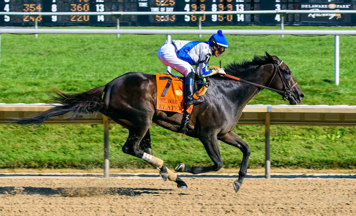 Elate wins the 2019 Delaware Handicap