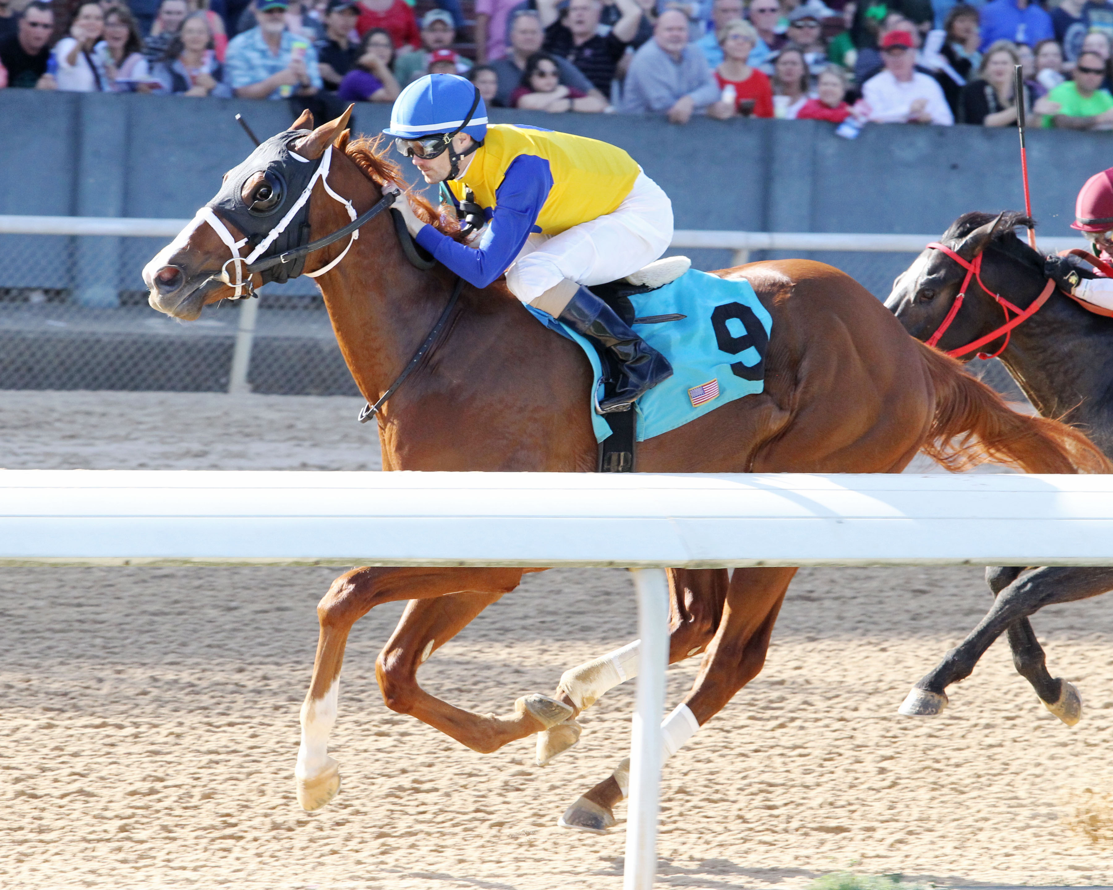 Hoonani Roadd wins a March 16 allowance