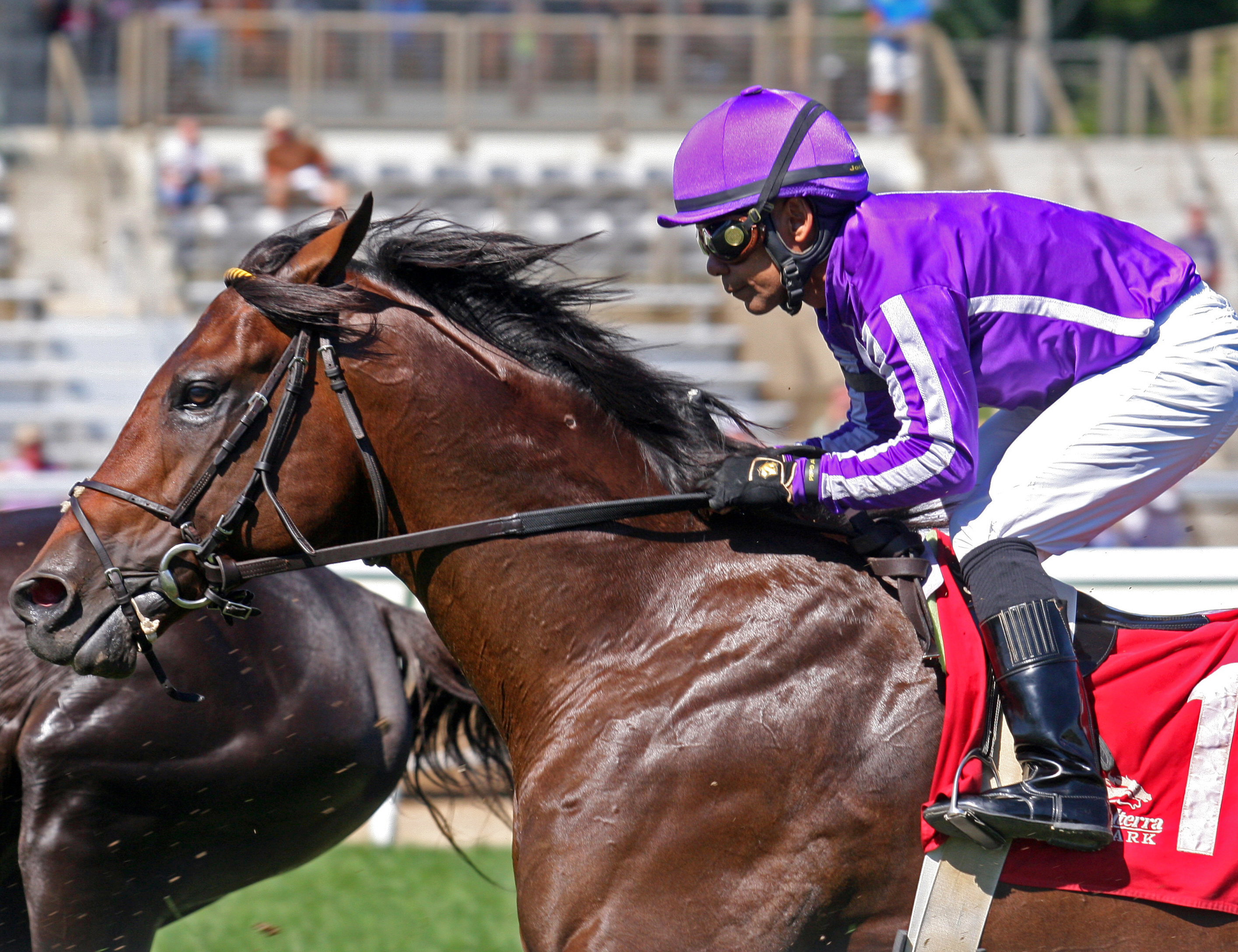 Hootenanny wins a Sept. 3, 2016, allowance race at Belterra Park