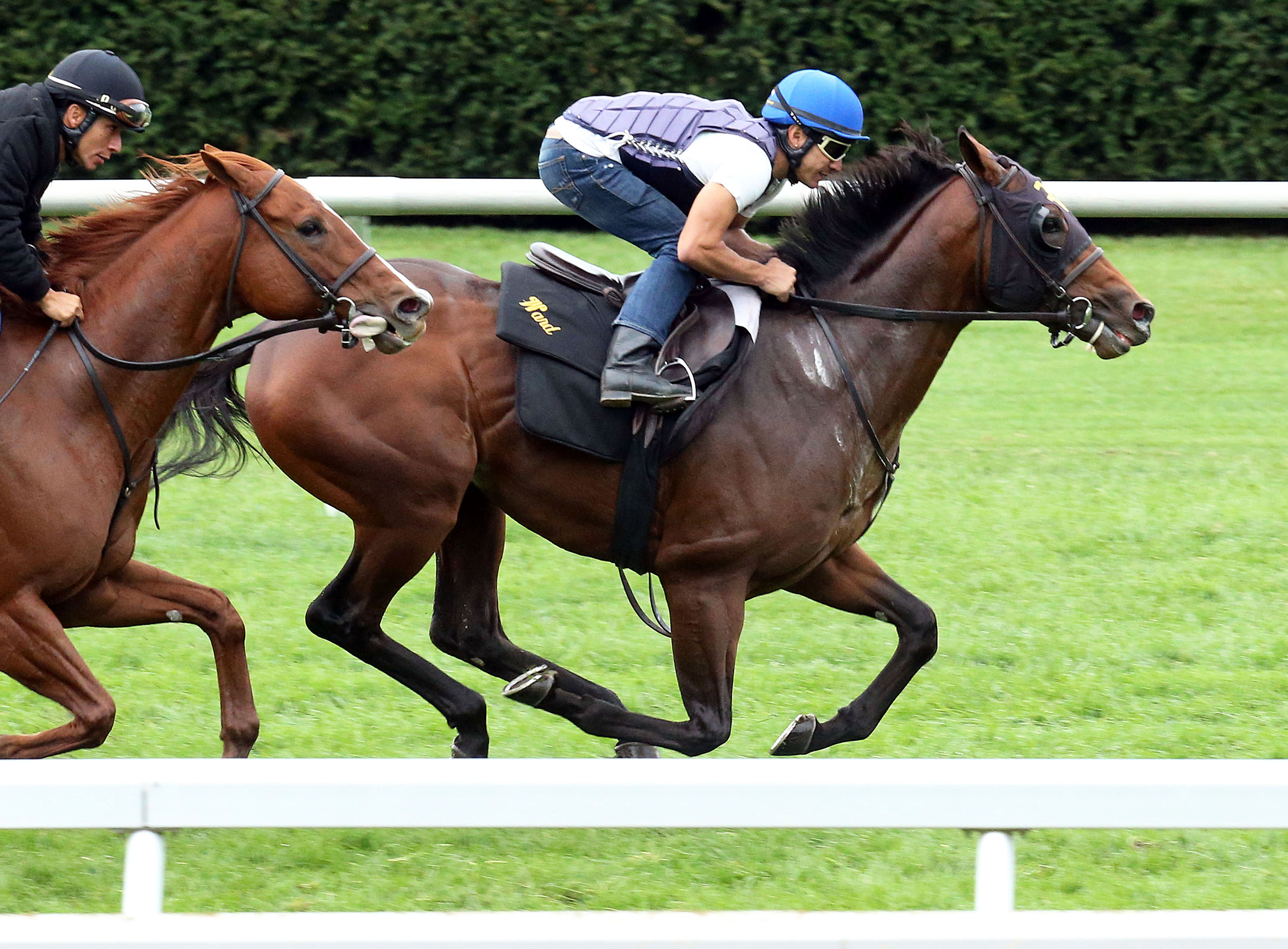 Hootenanny training at Keeneland