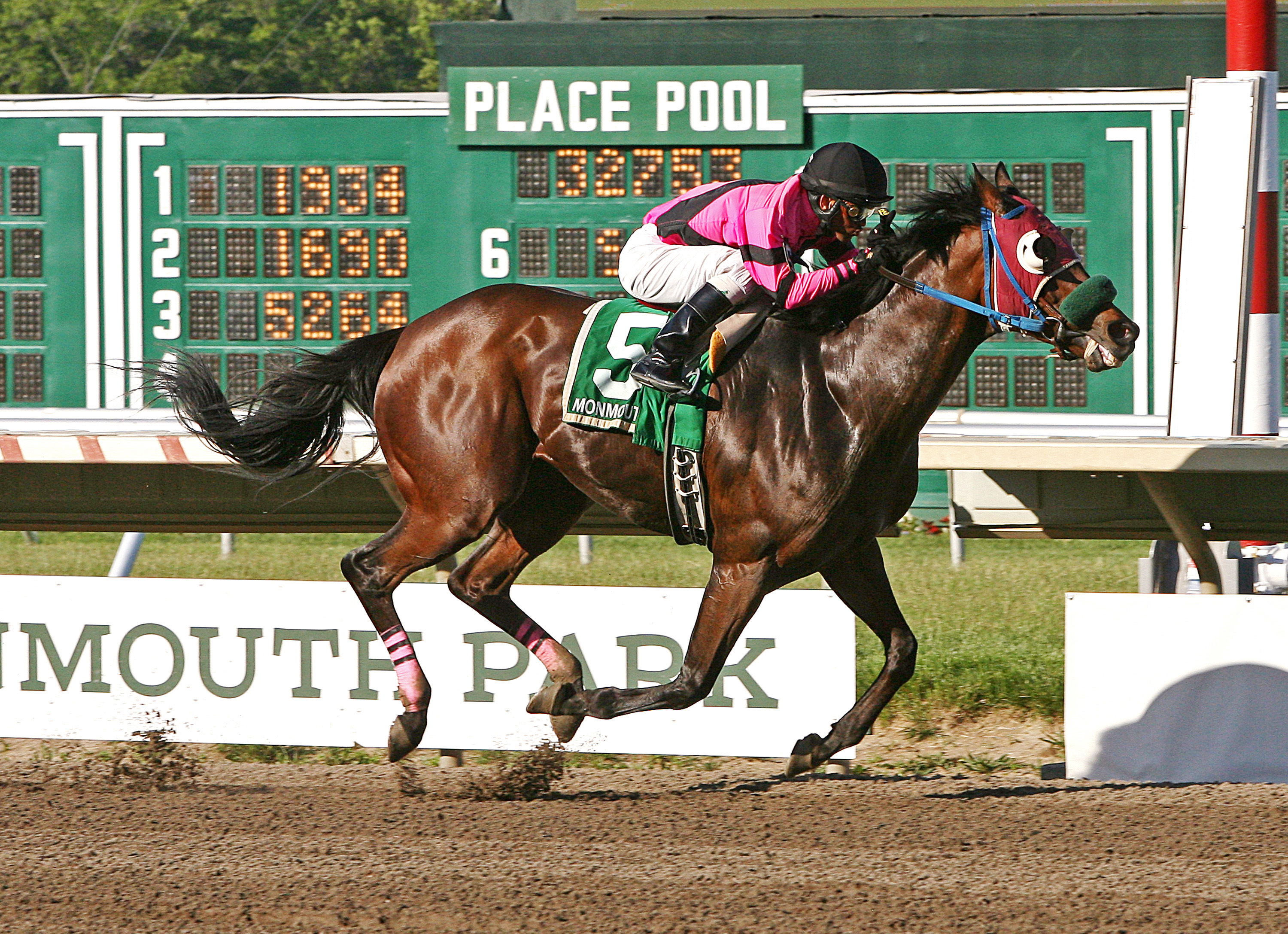 Hop Skip and Away wins the 2013 Reilly