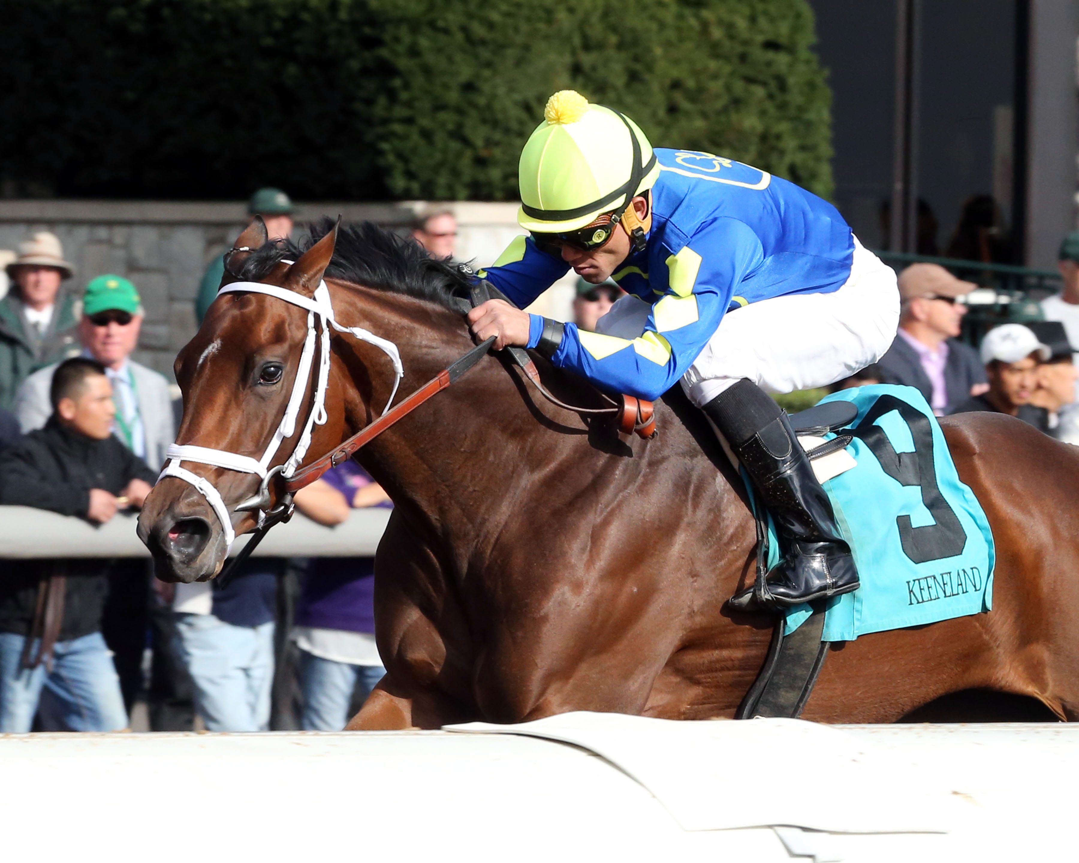 Hopefaithjoy wins a maiden race