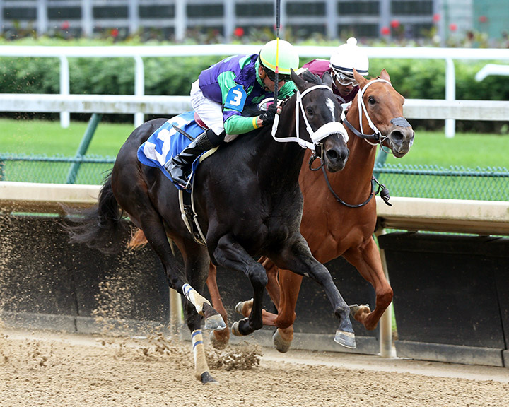 Hopeful Princess (left) wins a May 21 maiden race at Churchill Downs