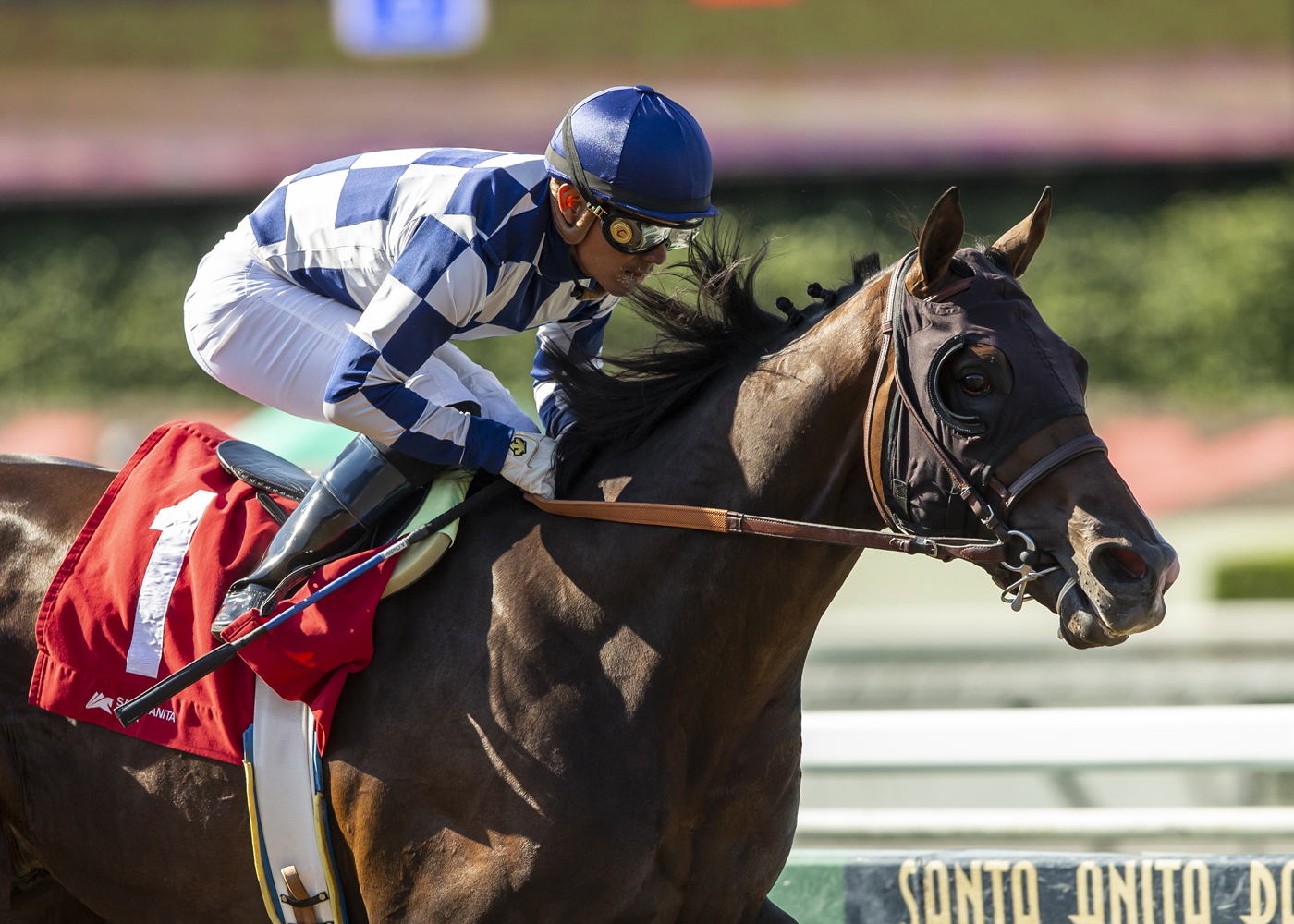 Hopper wins Affirmed 6-11-2022