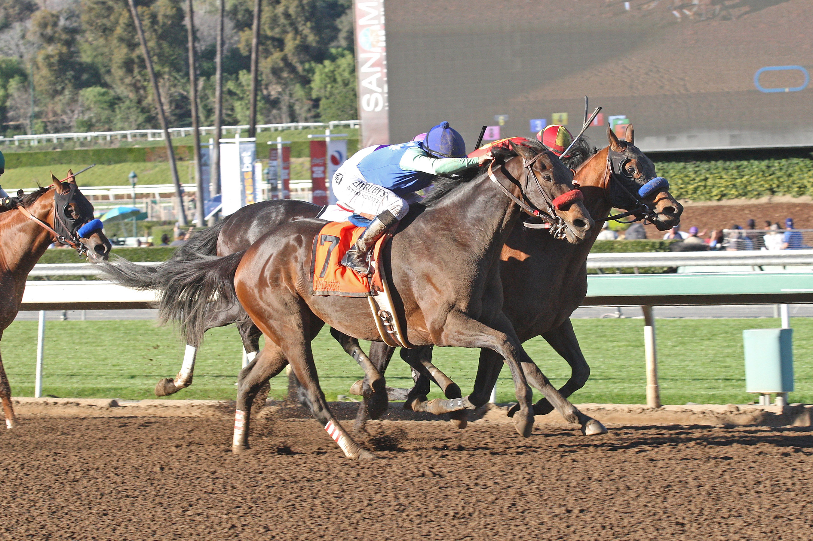 Hoppertunity/Imperative 2-6-2016