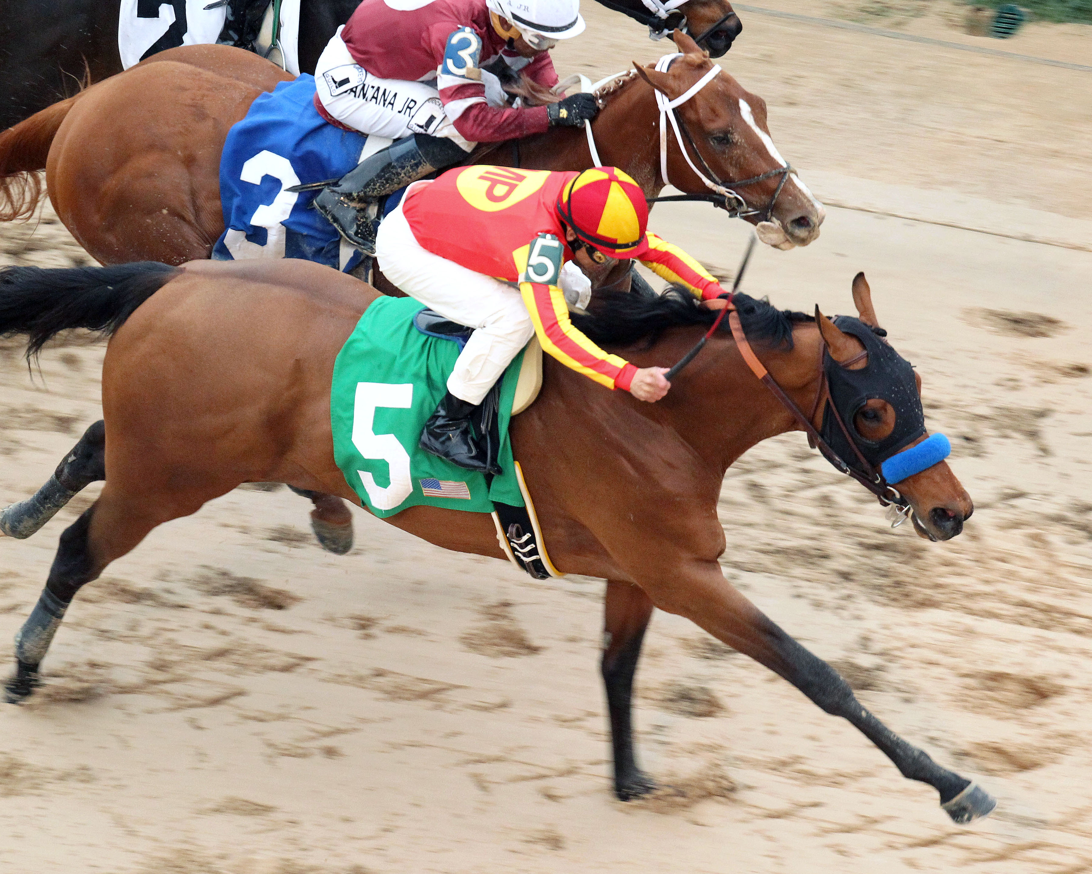 Hoppertunity 3-15-2014