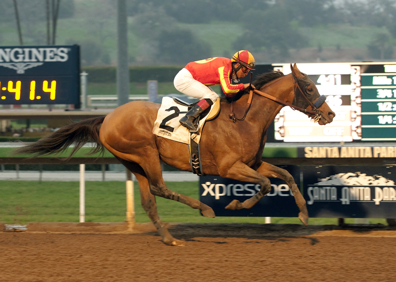 Hoppertunity 1-10-2015