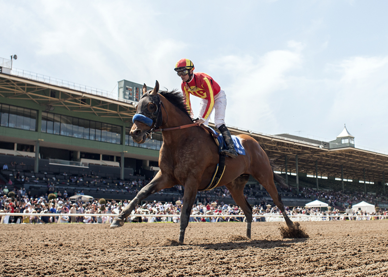 Hoppertunity wins 2018 Tokyo City