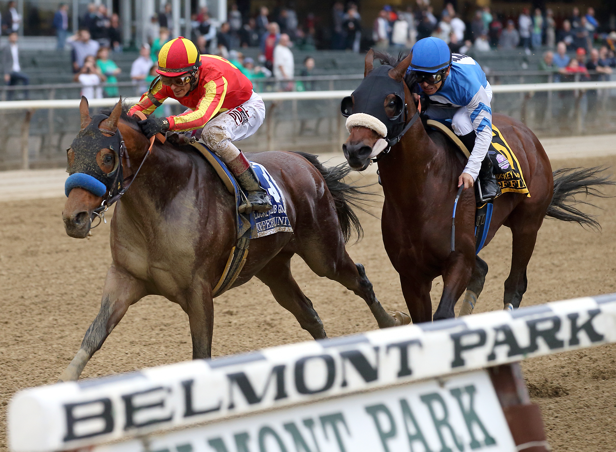 Hoppertunity wins Gold Cup