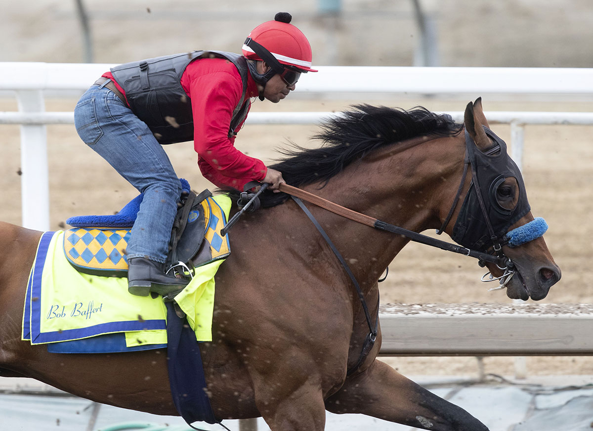 Hoppertunity trains at Santa Anita on July 1