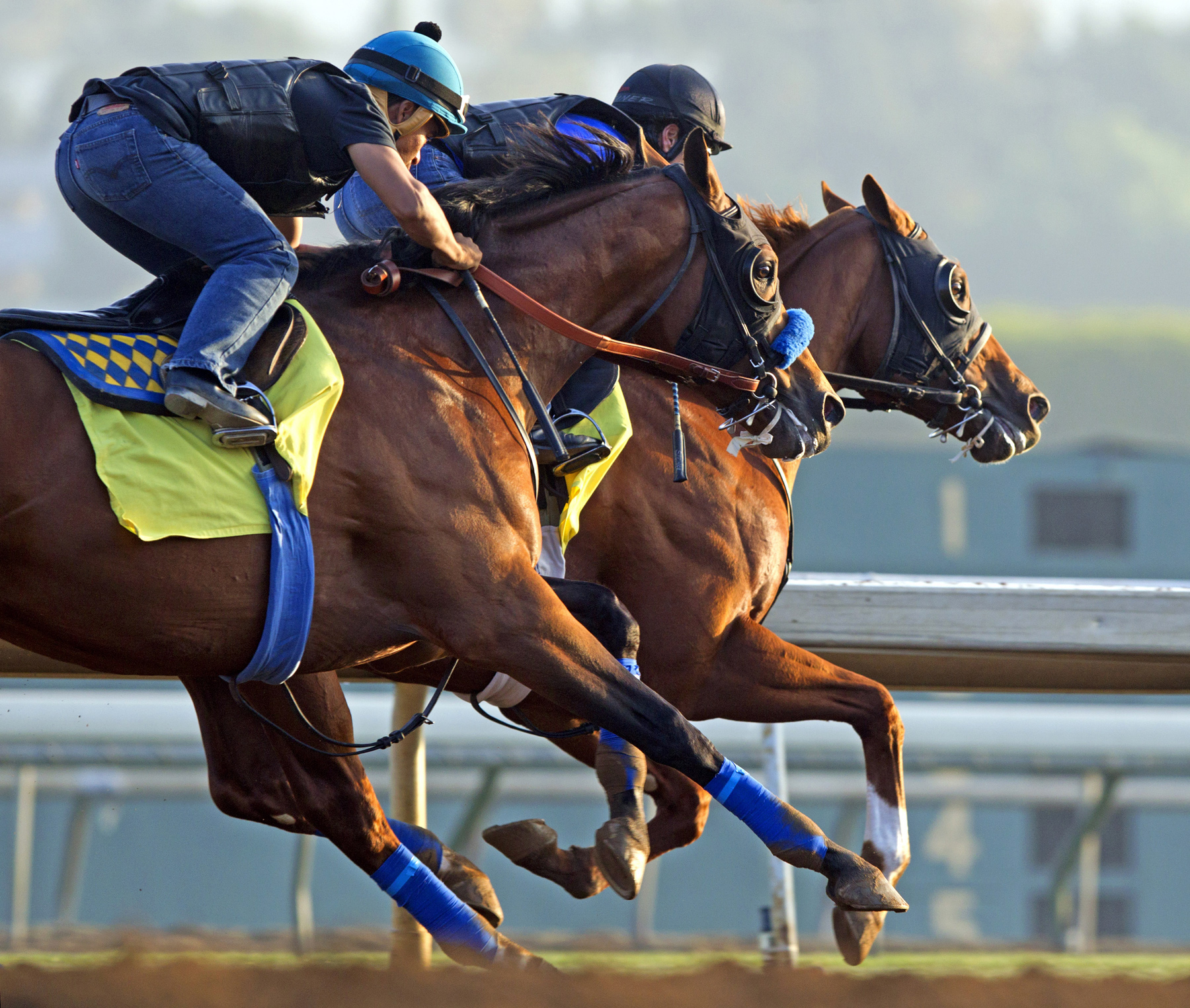 Hoppertunity trains with Chitu on Oct. 21