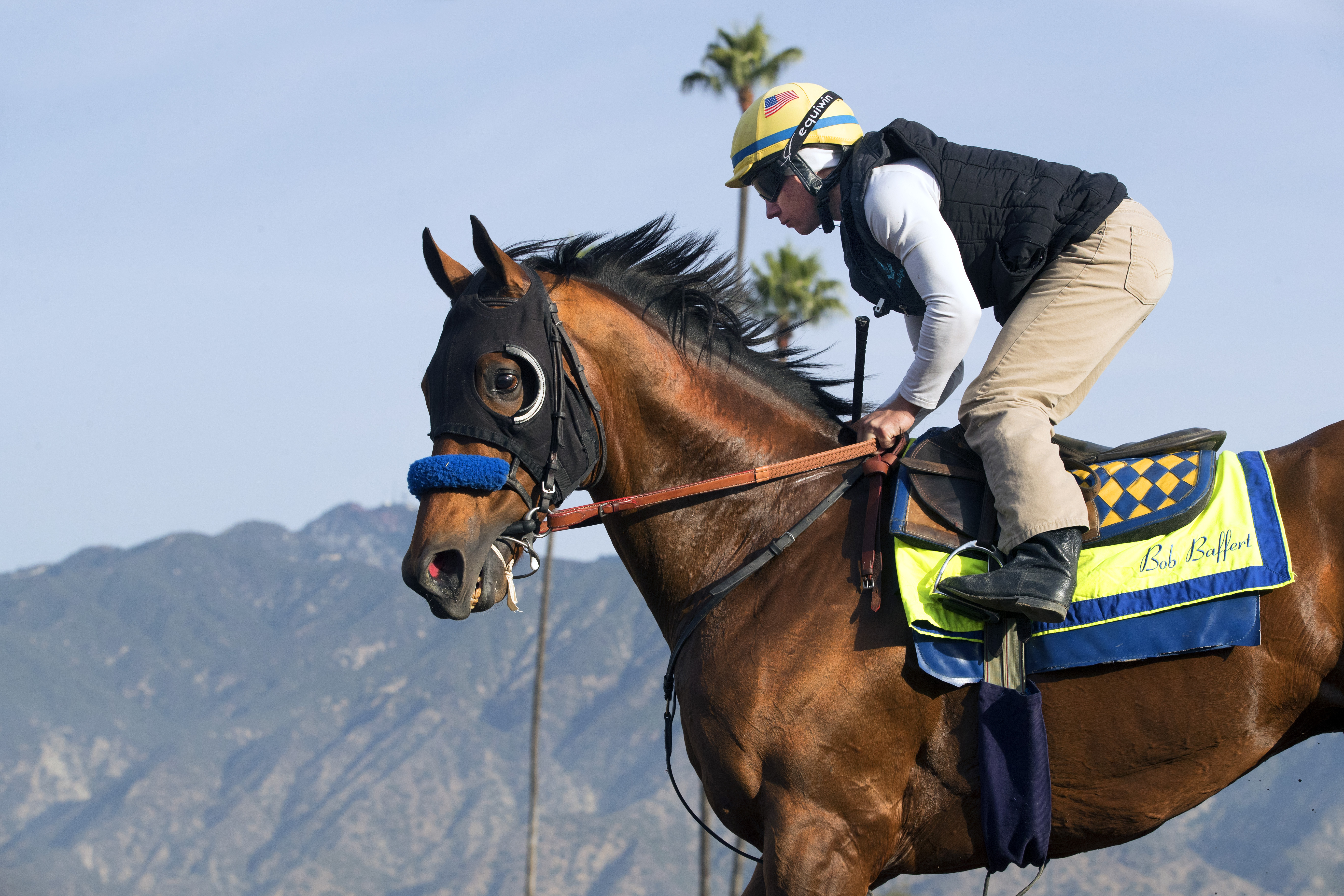 Hoppertunity trains at Santa Anita on Nov. 13