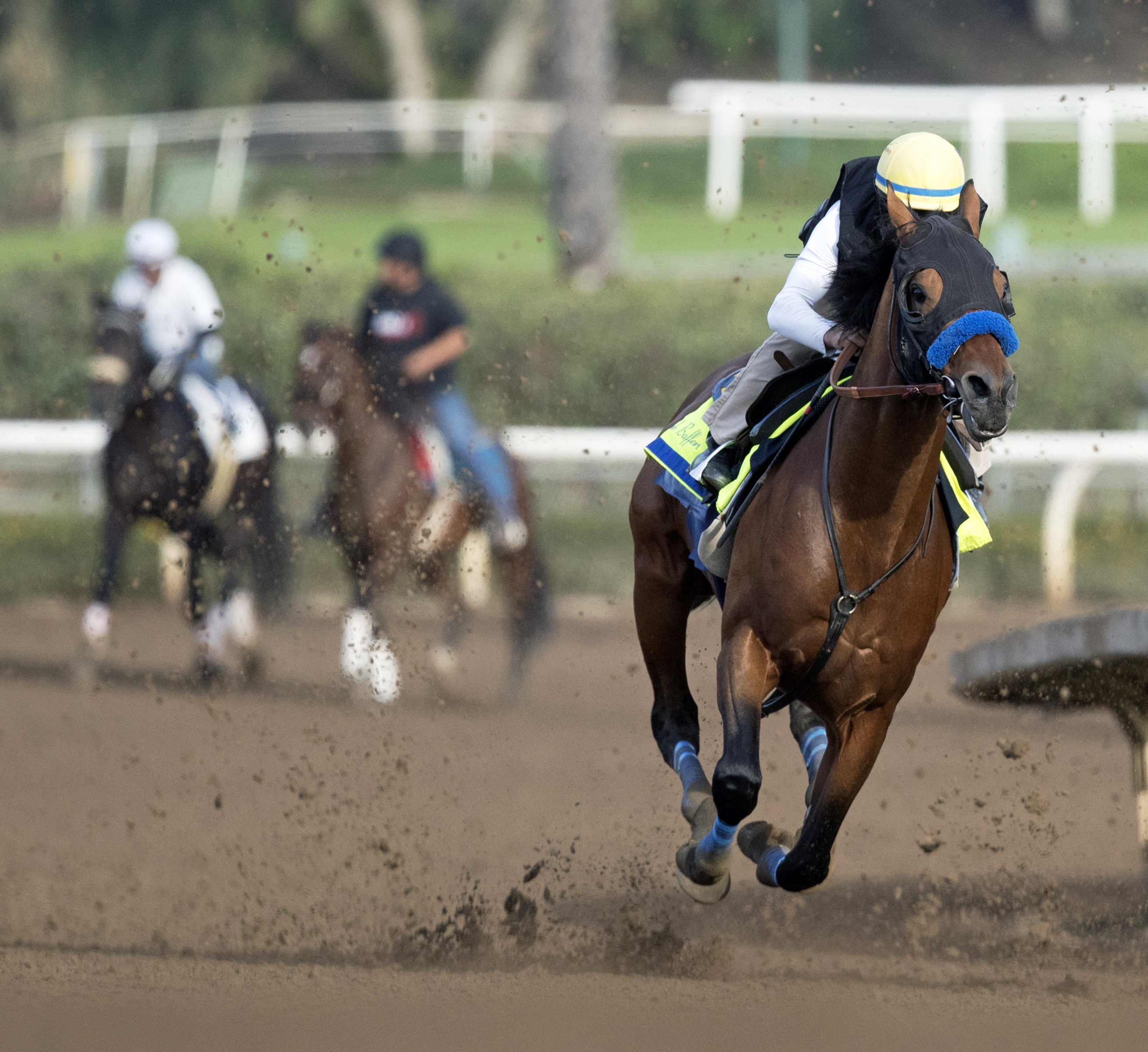 Hoppertunity trains at Santa Anita on Nov. 13