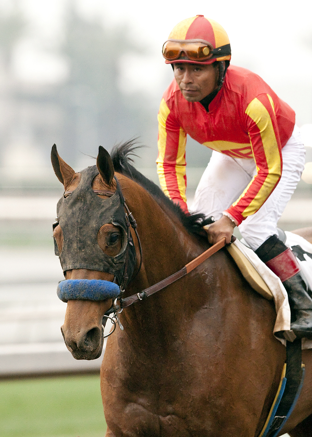 Hoppertunity after the San Pasqual Stakes