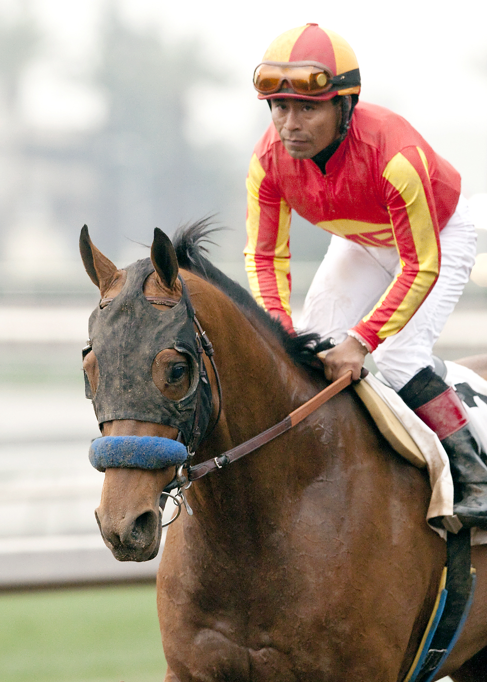 Hoppertunity after the San Pasqual Stakes