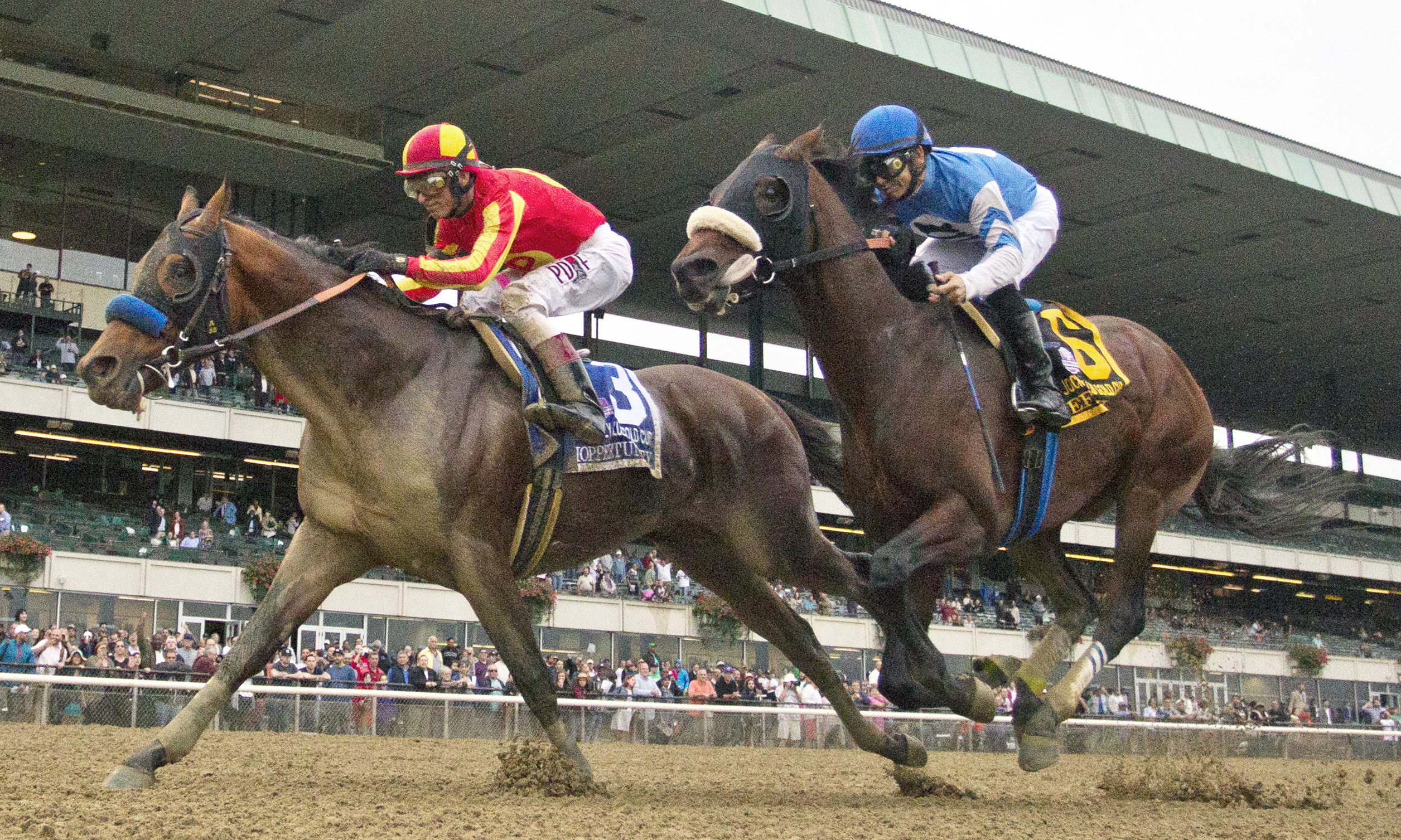 Hoppertunity wins the Jockey Club Gold Cup