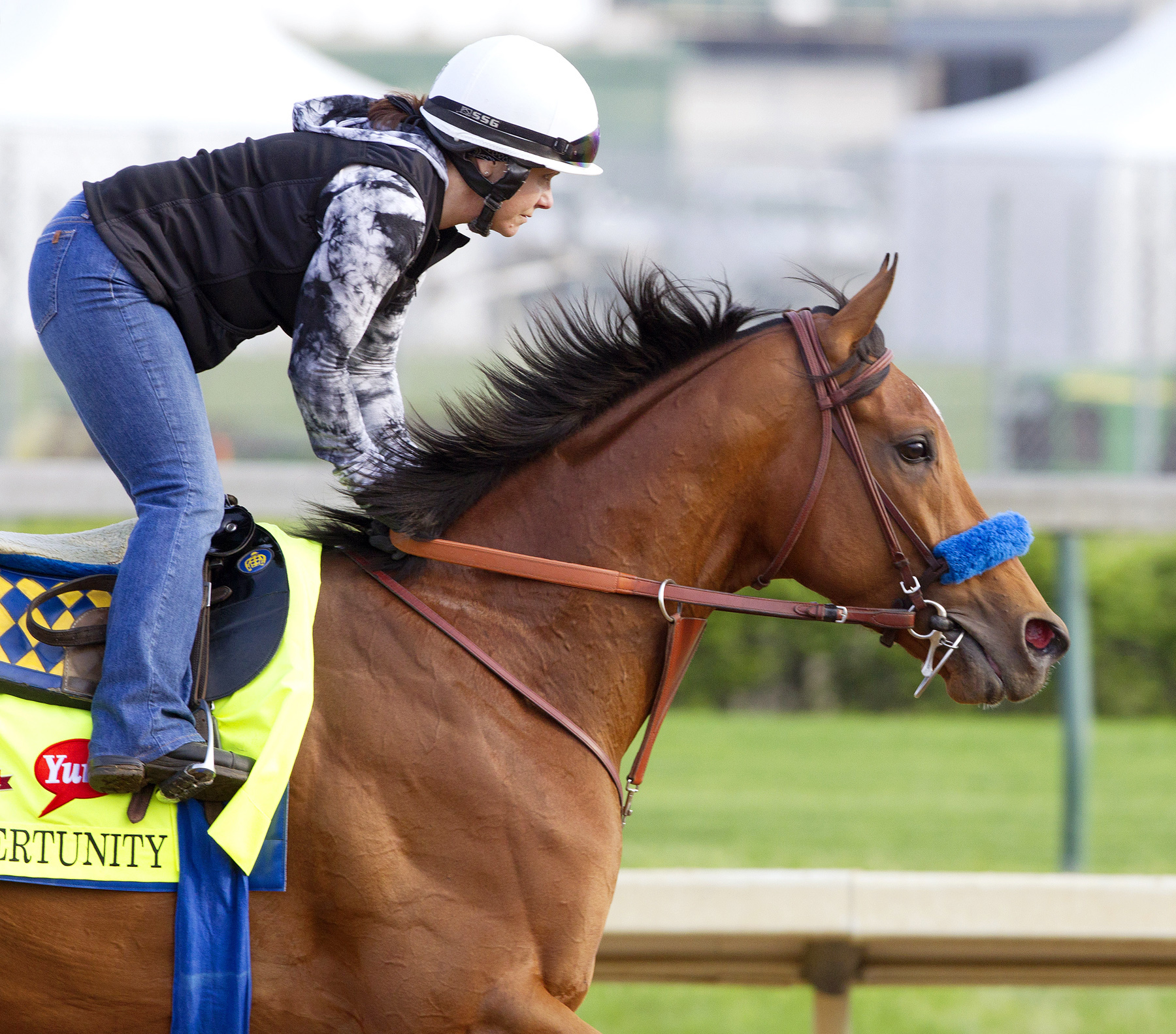 Hoppertunity gallops at Churchill on April 22