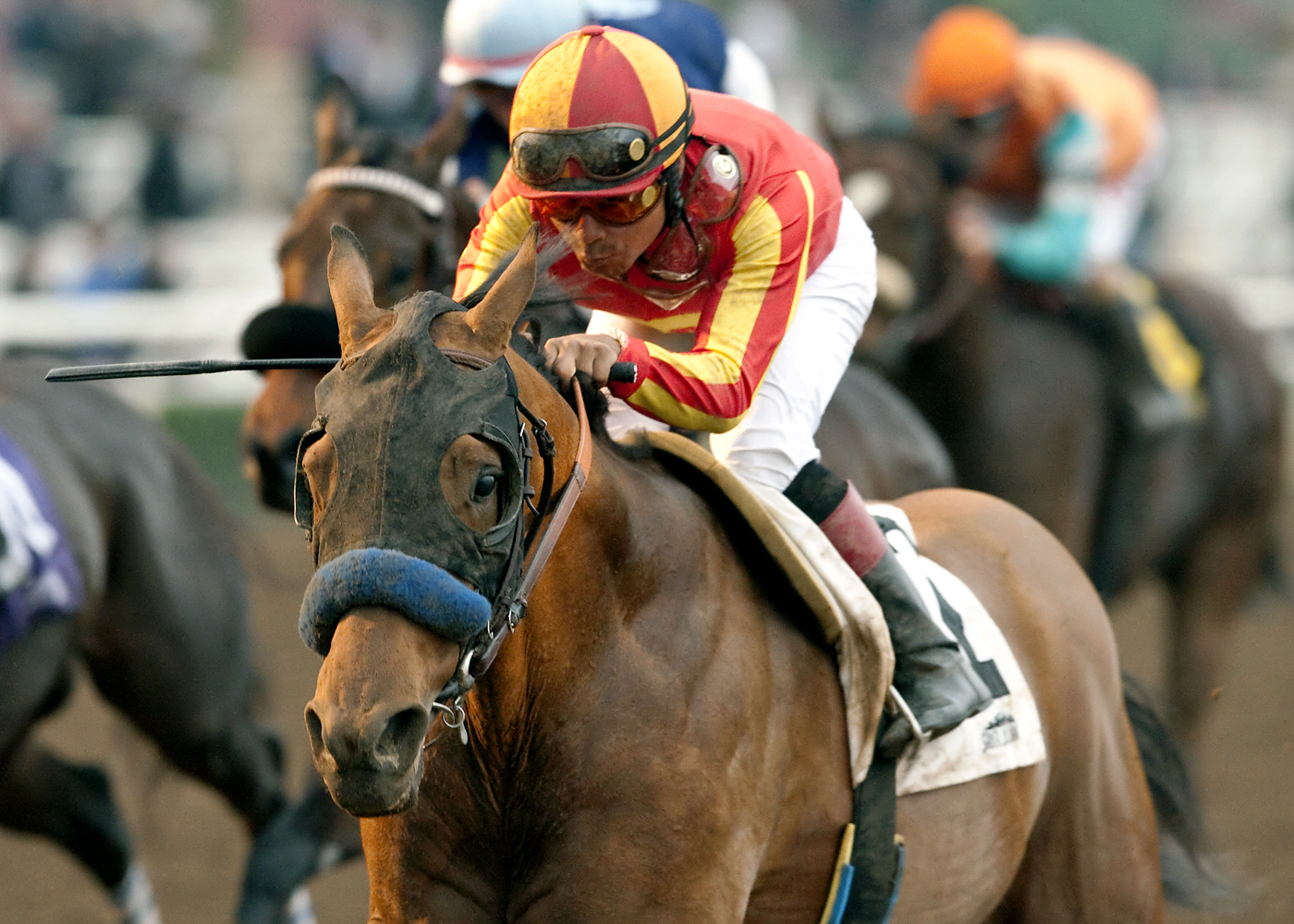 Hoppertunity wins the San Pasqual Stakes