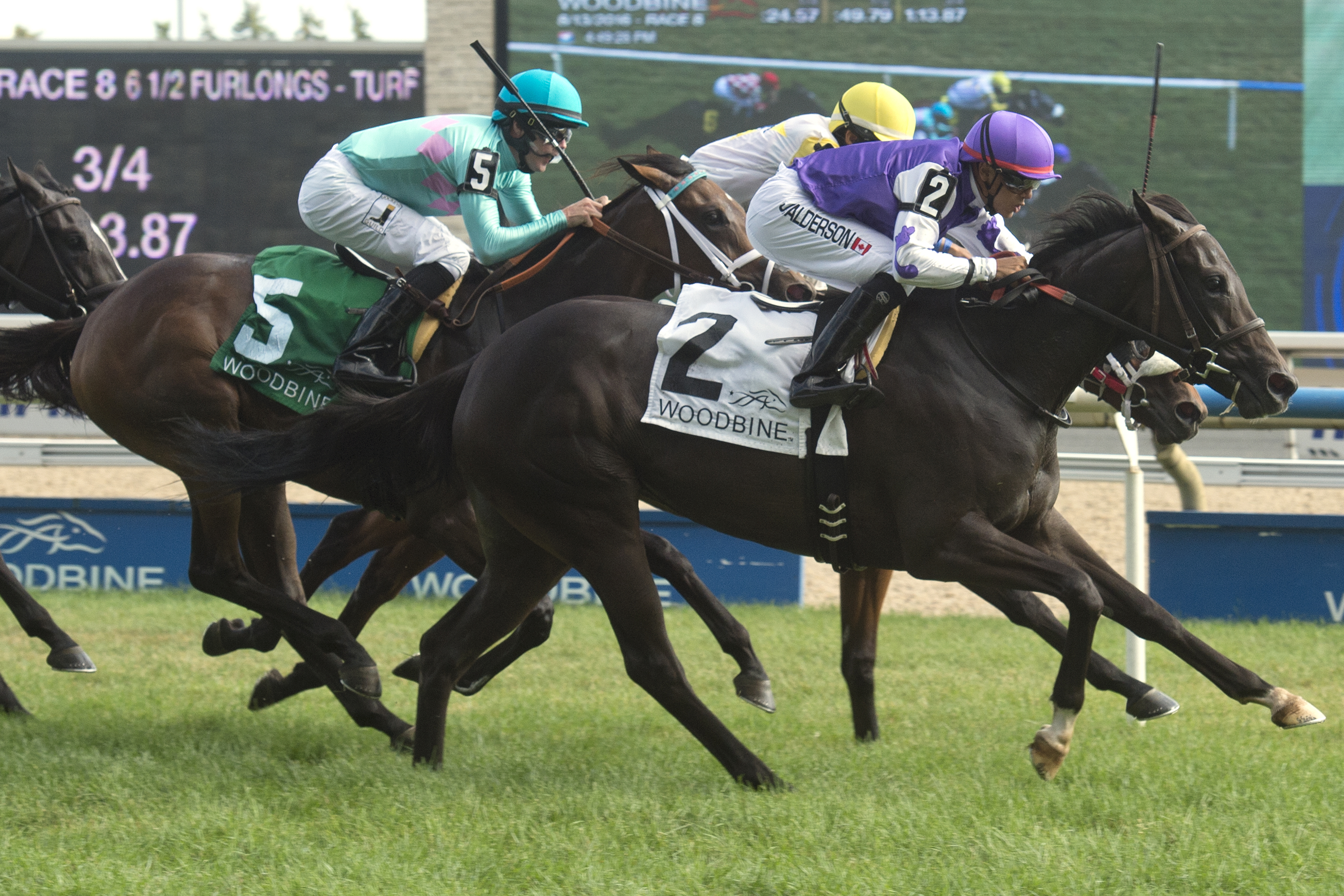 Hopping Not Hoping wins the Shady Well Stakes