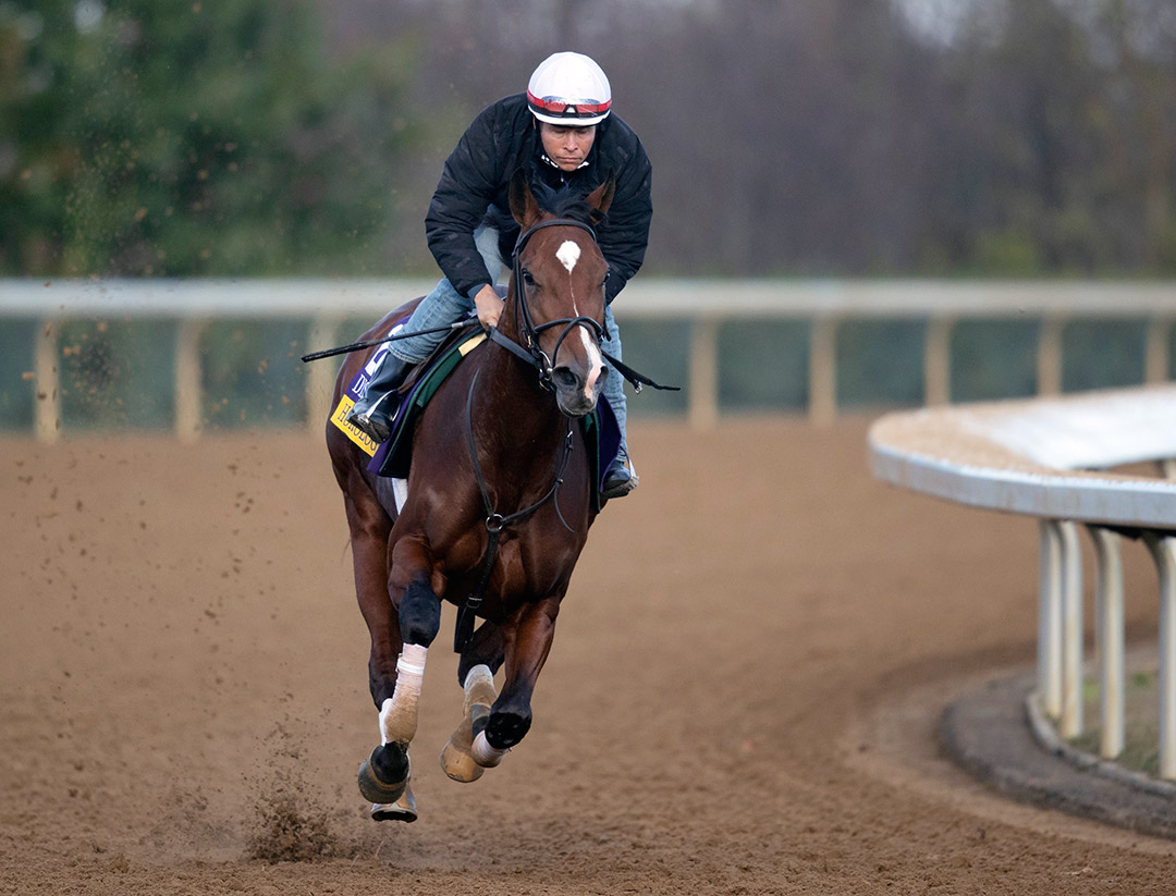 Horologist trains at Keeneland Racecourse in November 2020