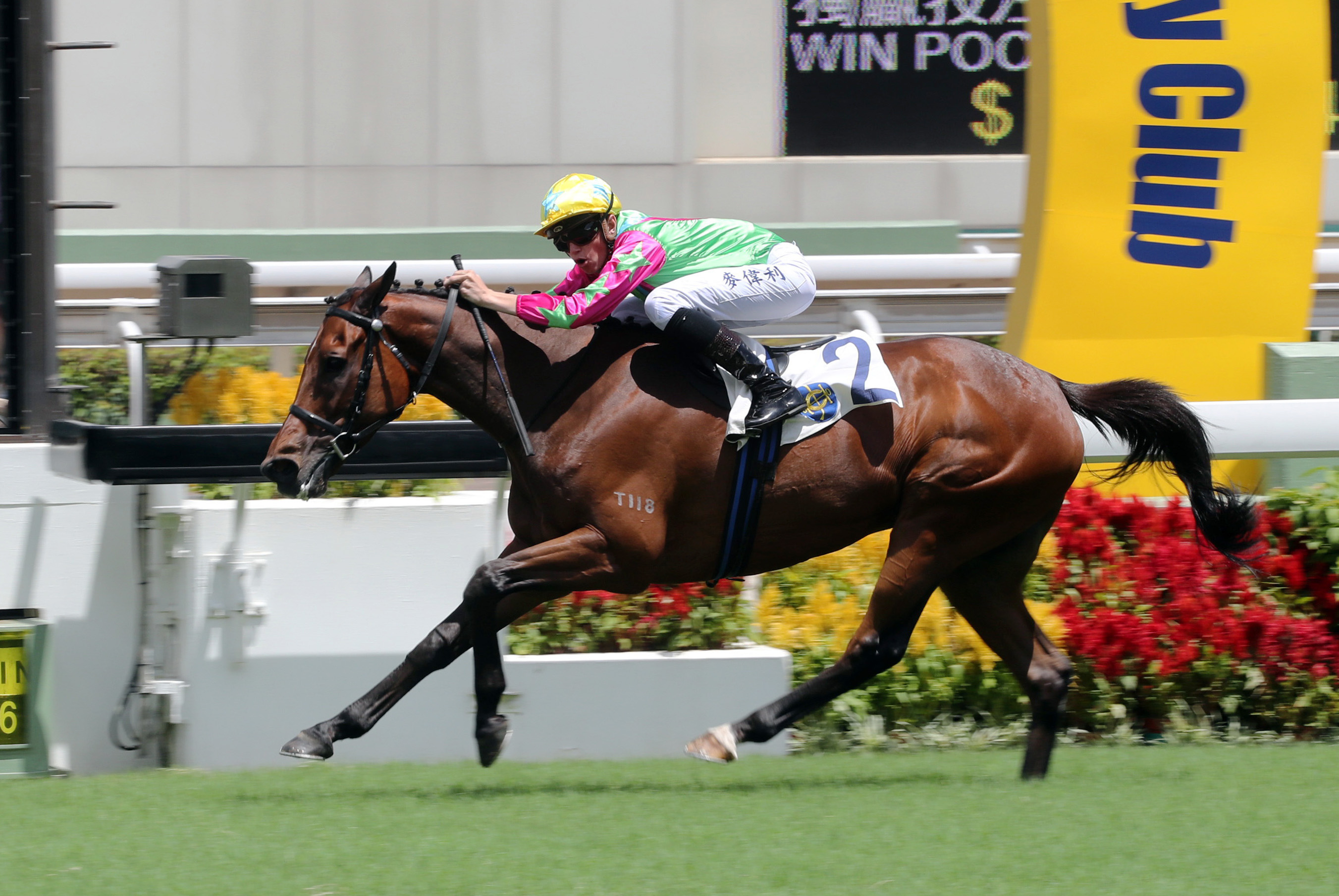 House of Fortune wins the Premier Plate at Sha Tin