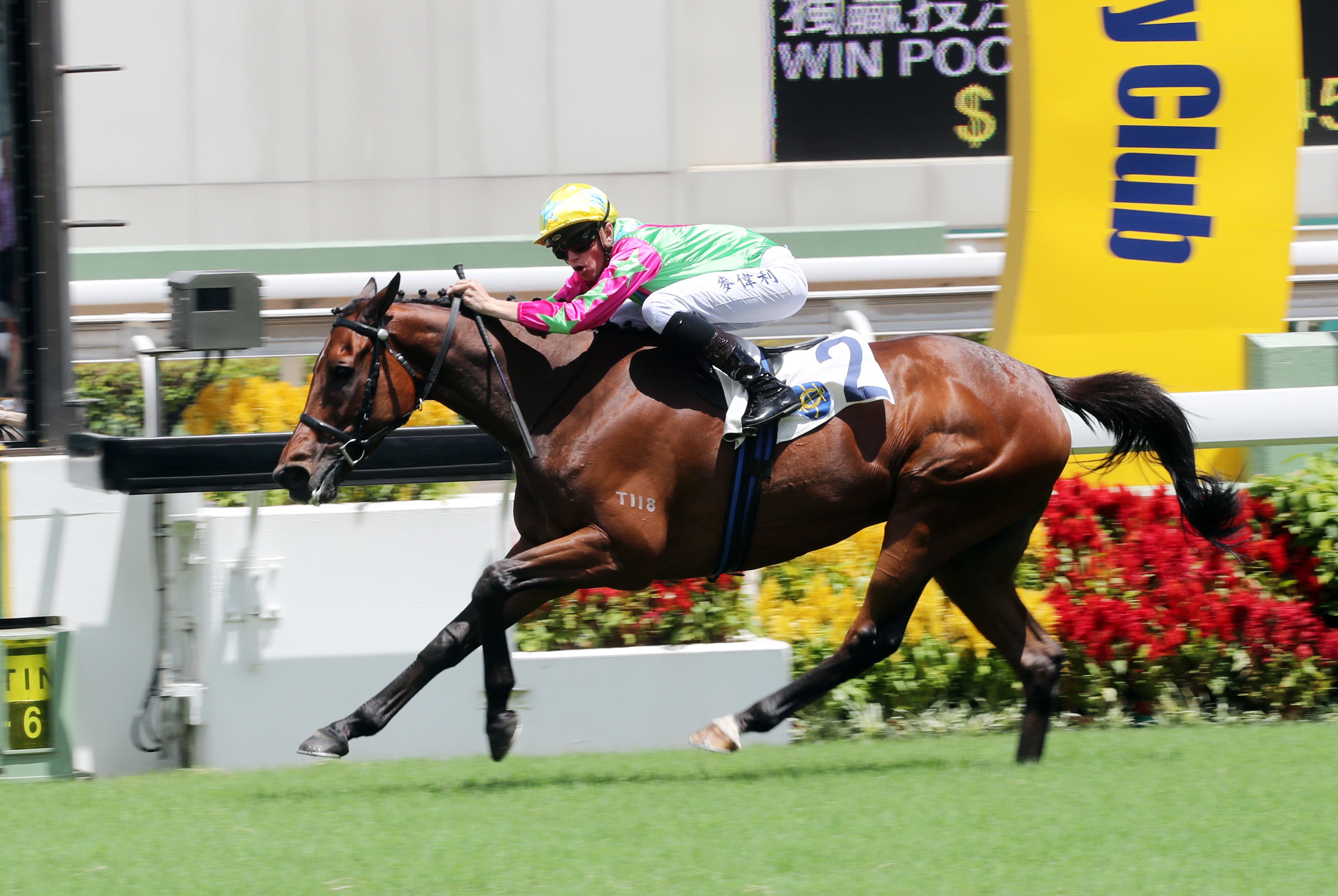 Horse of Fortune wins the 2017 Premier Plate Handicap
