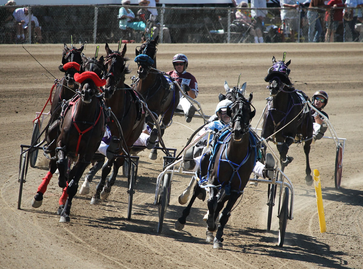 Horses on turn