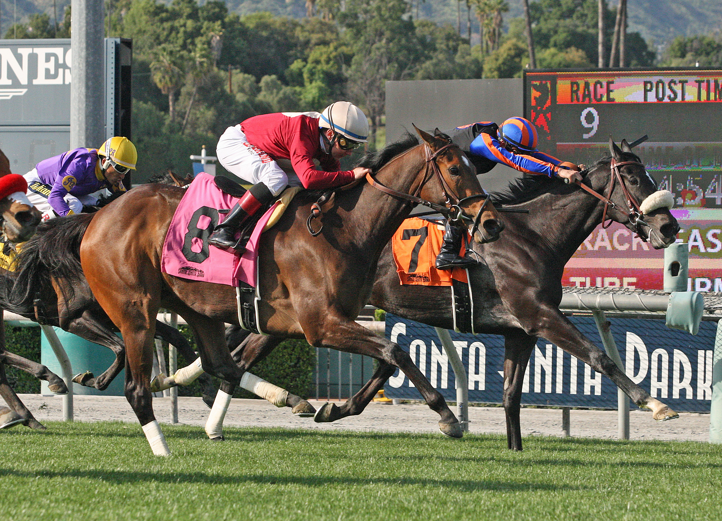 Hostess/2019 Providencia Stakes