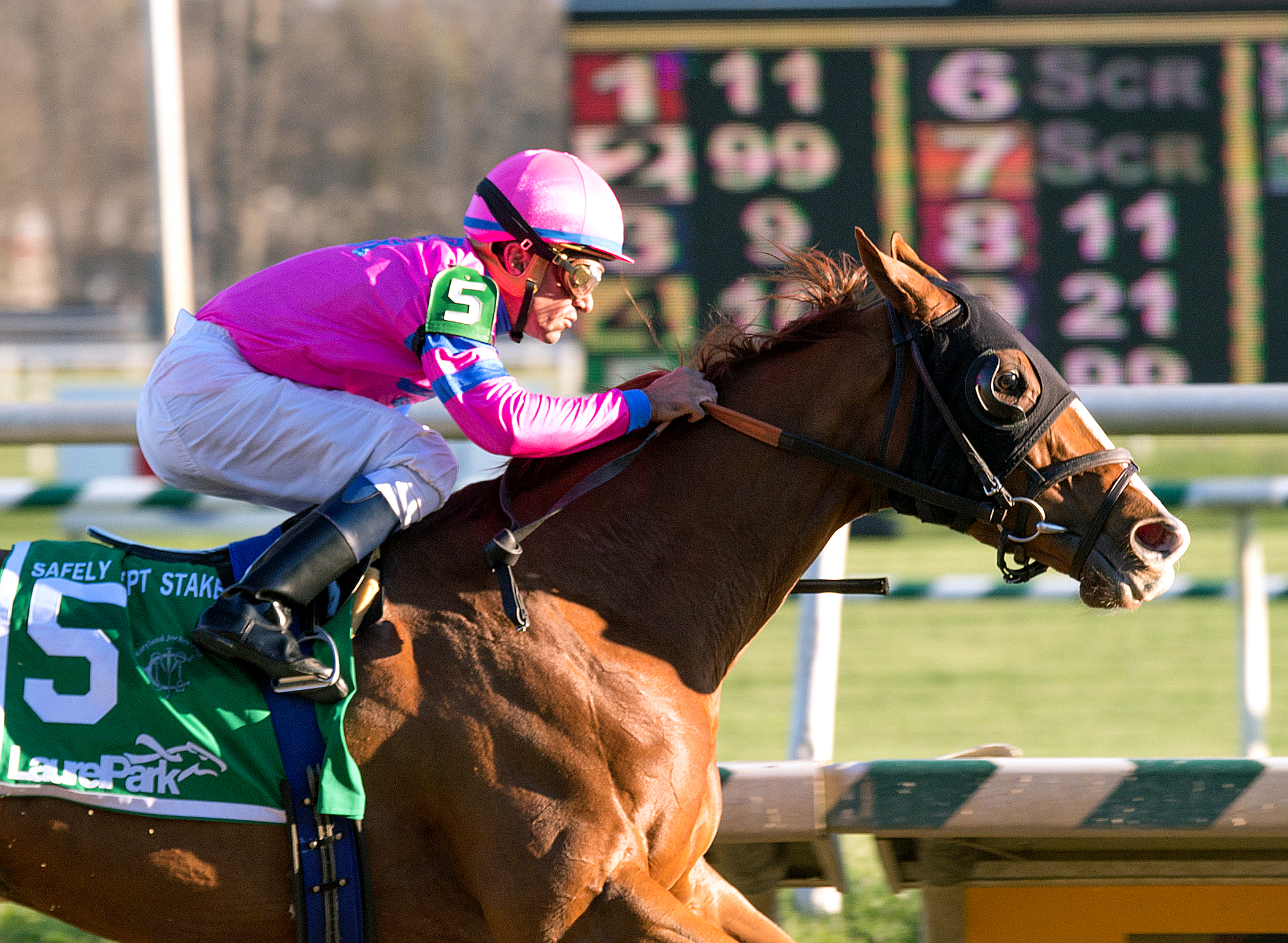Hot City Girl wins the Safely Kept Stakes