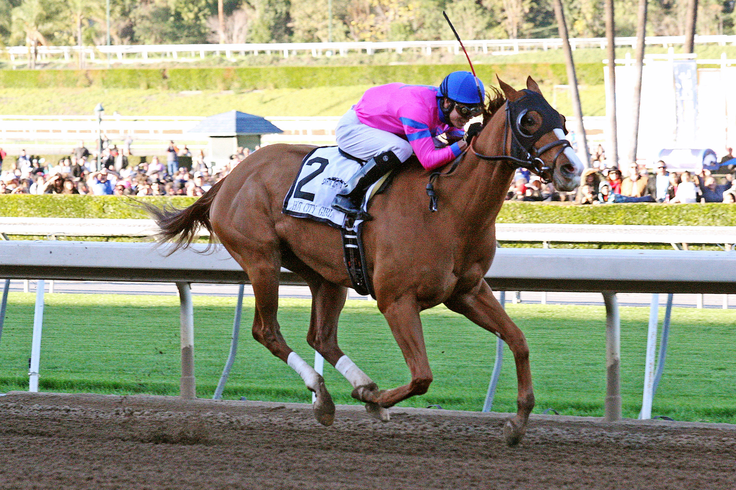 Hot City Girl finishes second in the La Brea Stakes