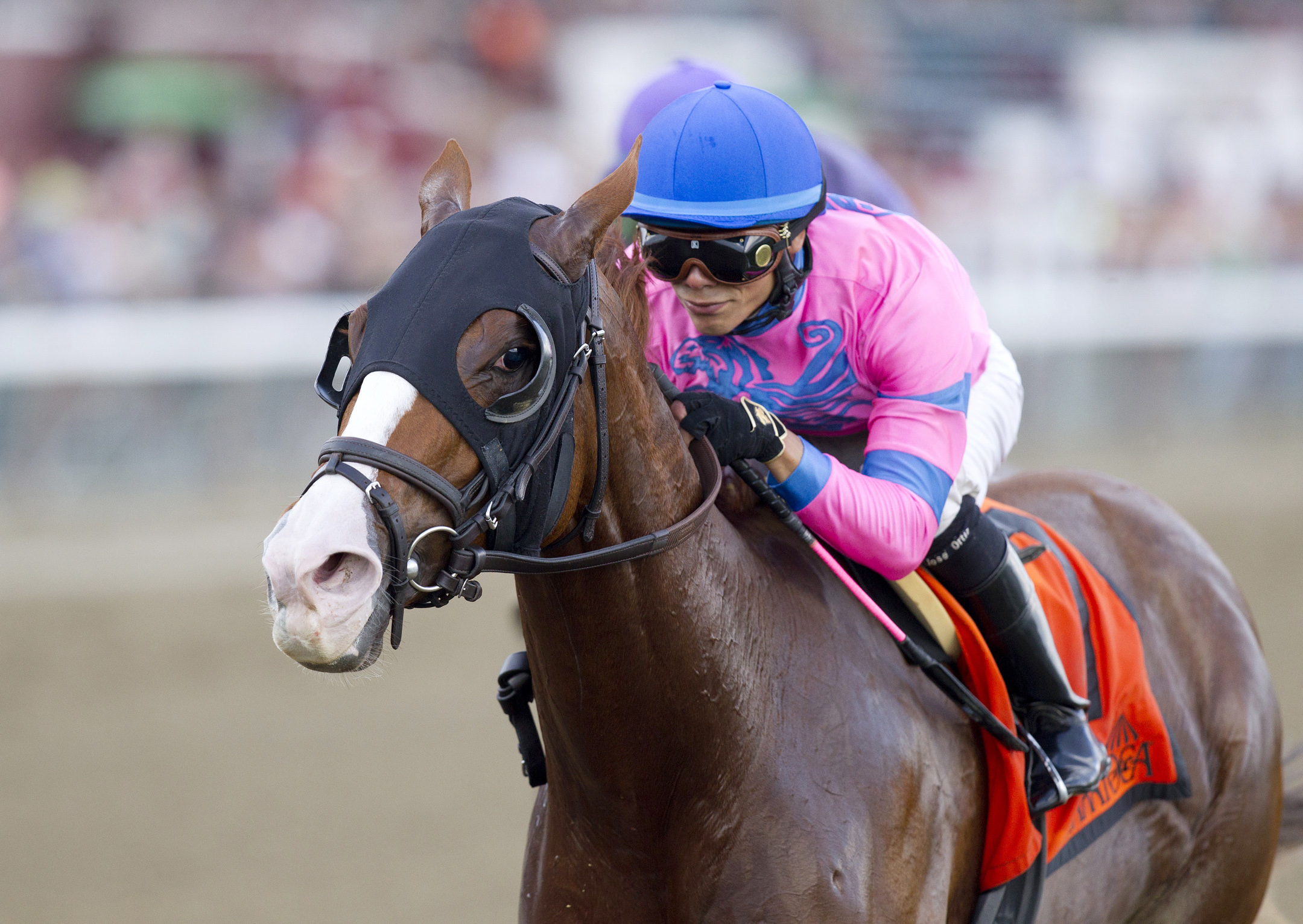 Hot City Girl wins the Union Avenue Stakes