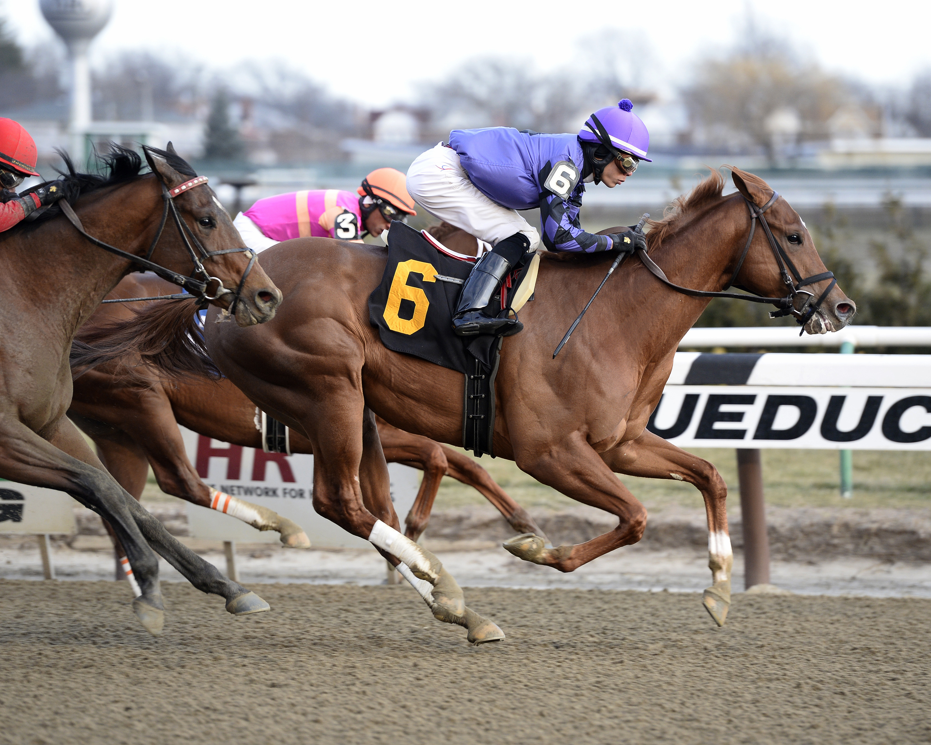 Hot Heir Skier wins the Jimmy Winkfield