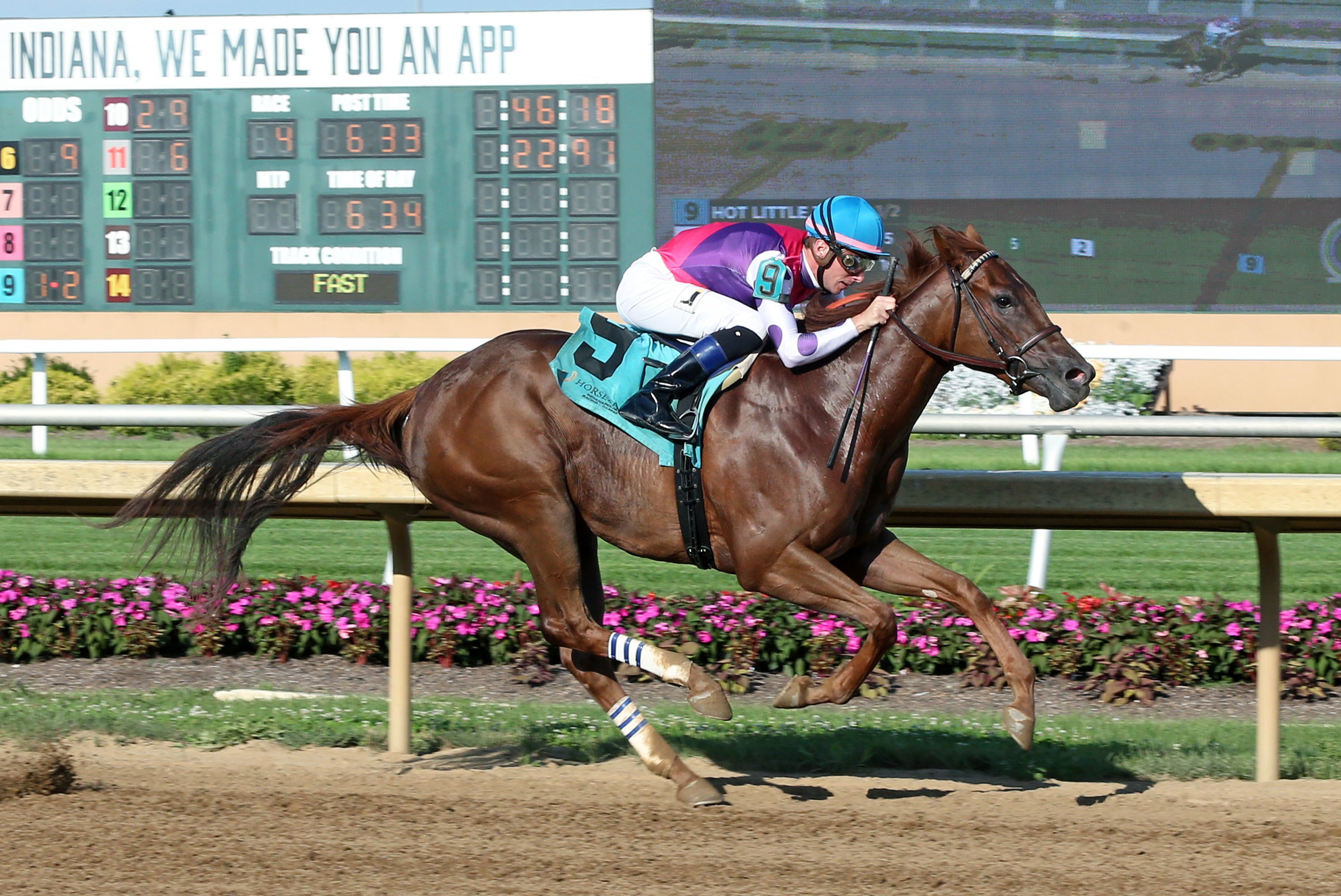 Hot Little Thing wins a maiden race at Horseshoe Indianapolis Aug 6 2022