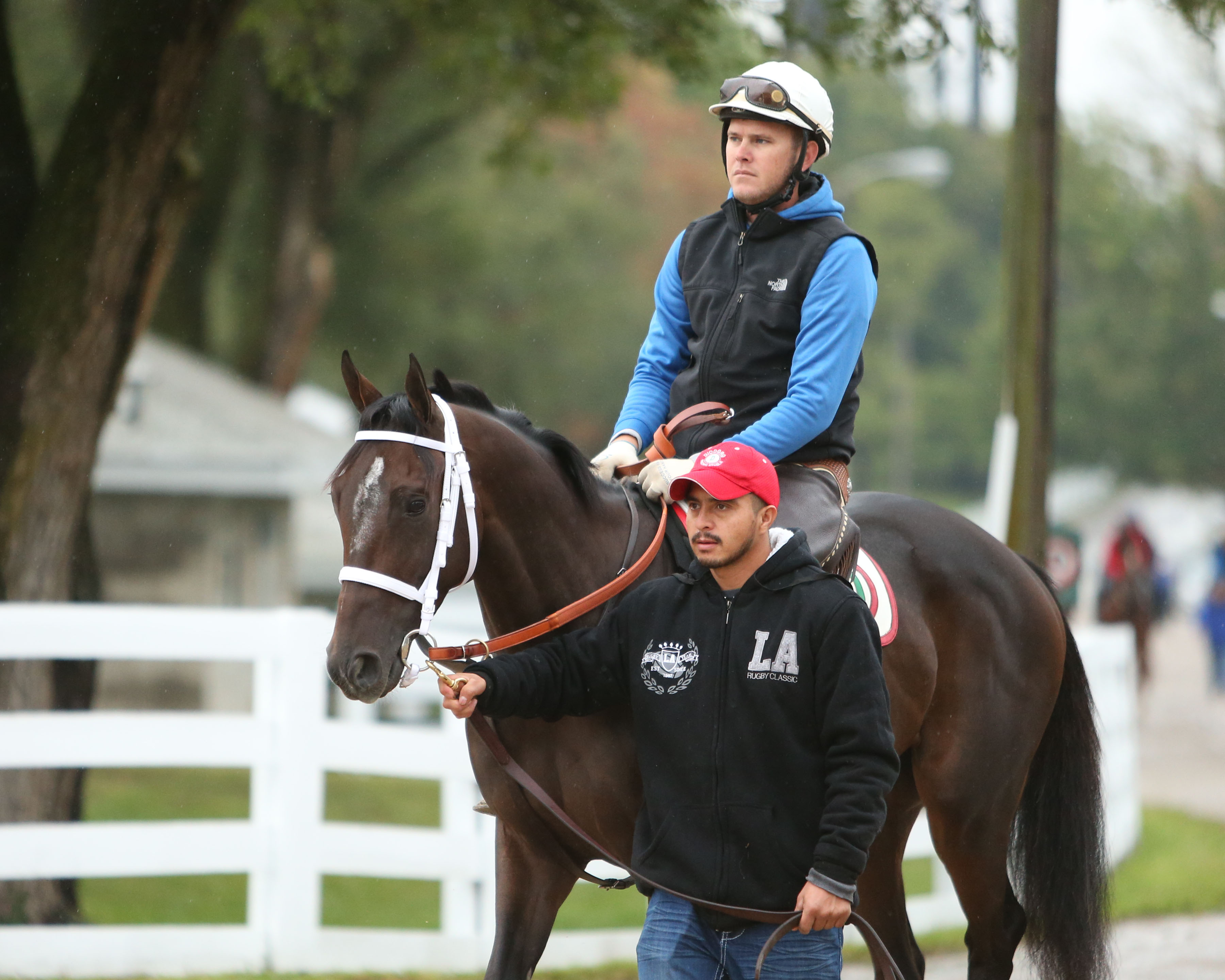 Hot Ore in October 2015