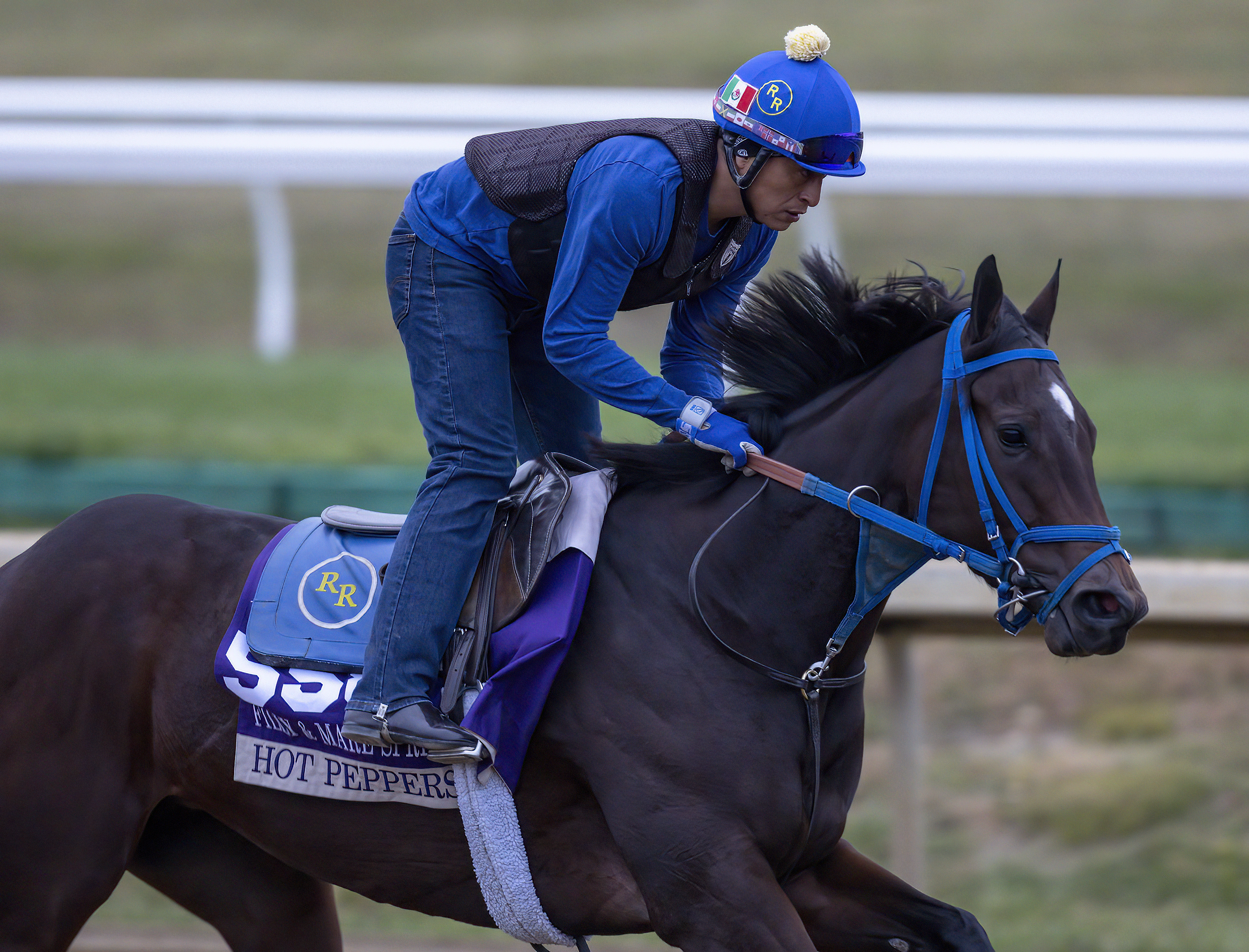 Hot Peppers trains at Keeneland Oct 30 2022