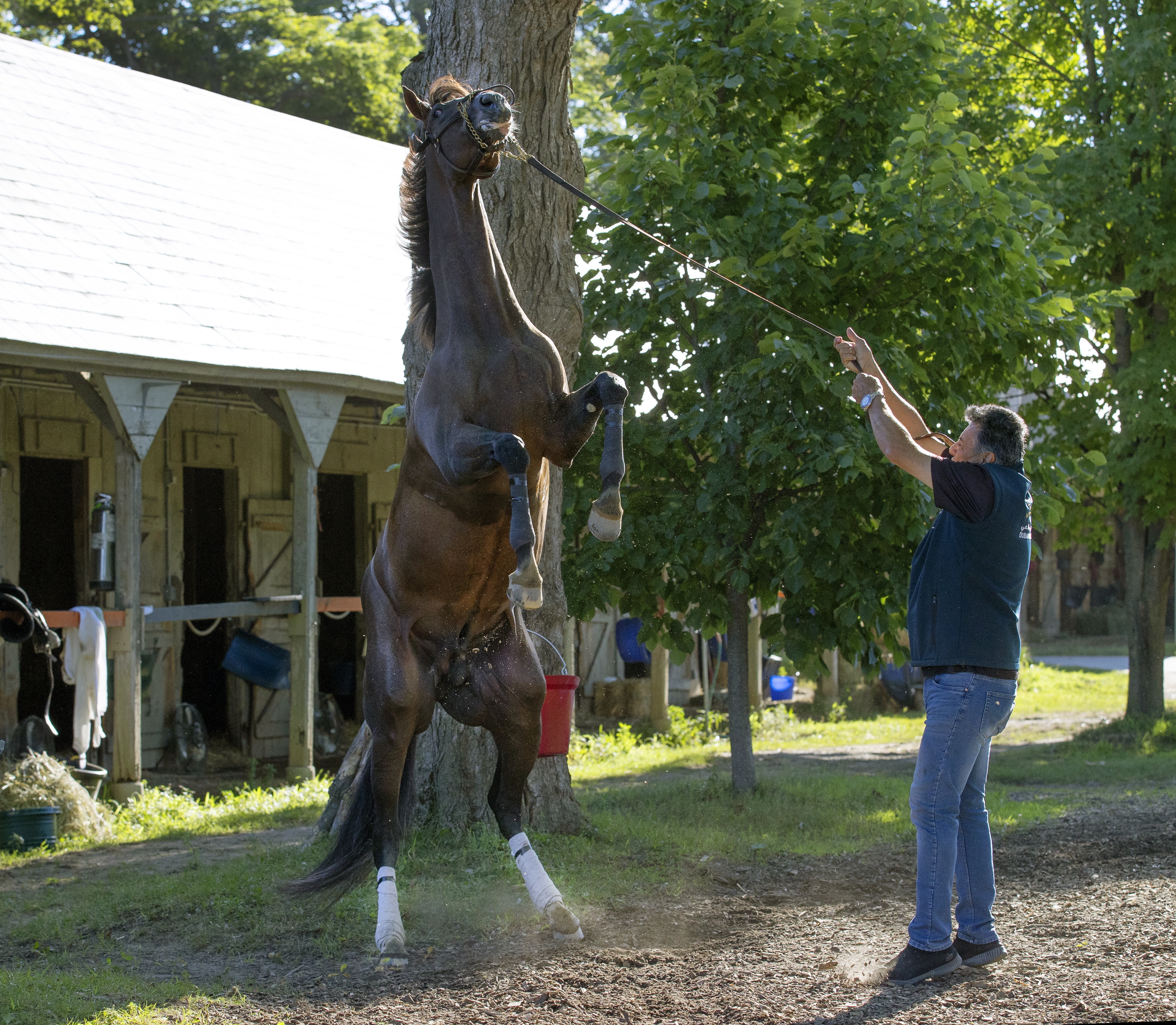 Hot Rod Charlie at Saratoga on Aug 3 2022