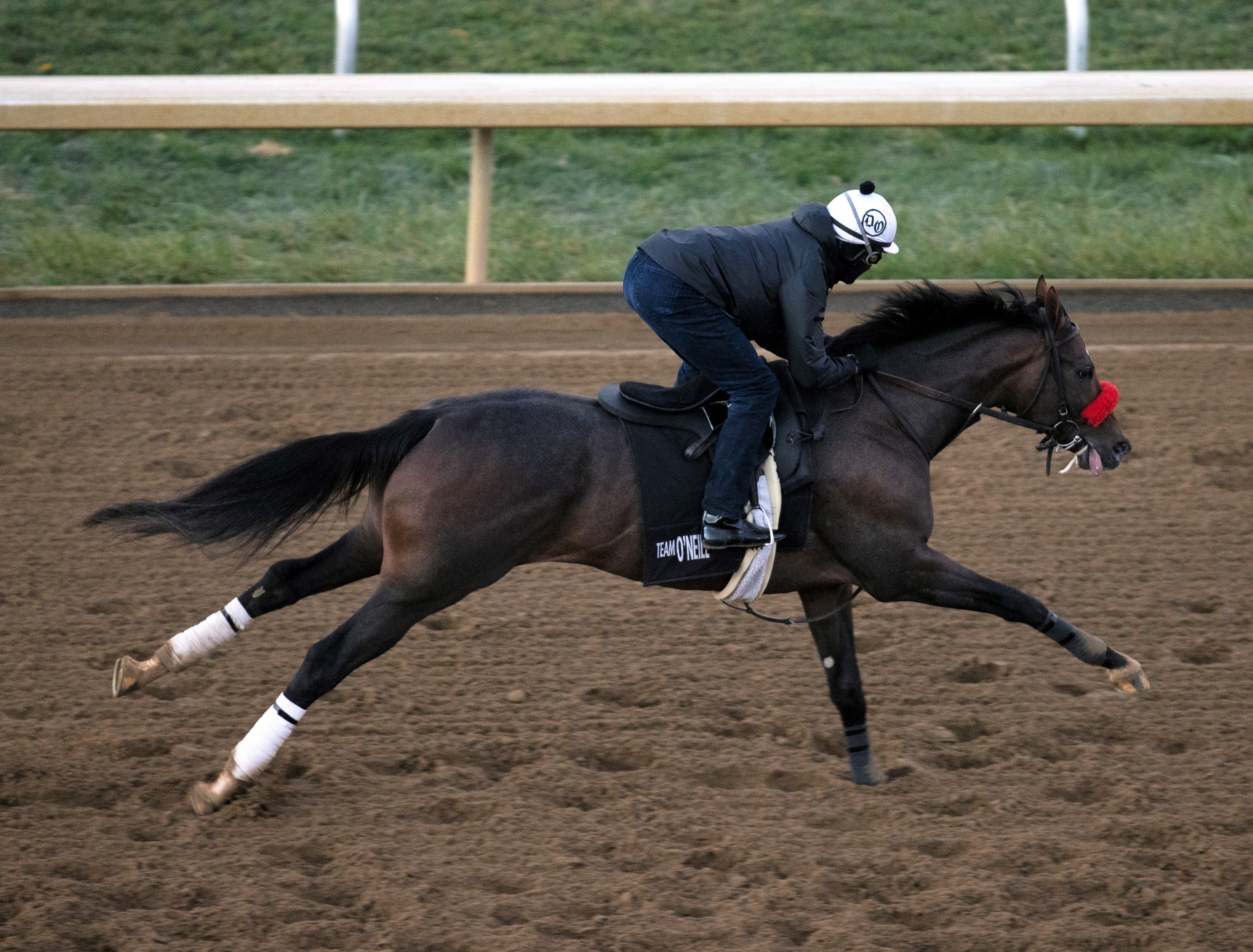 Hot Rod Charlie gallops at Keeneland Oct 27 2022