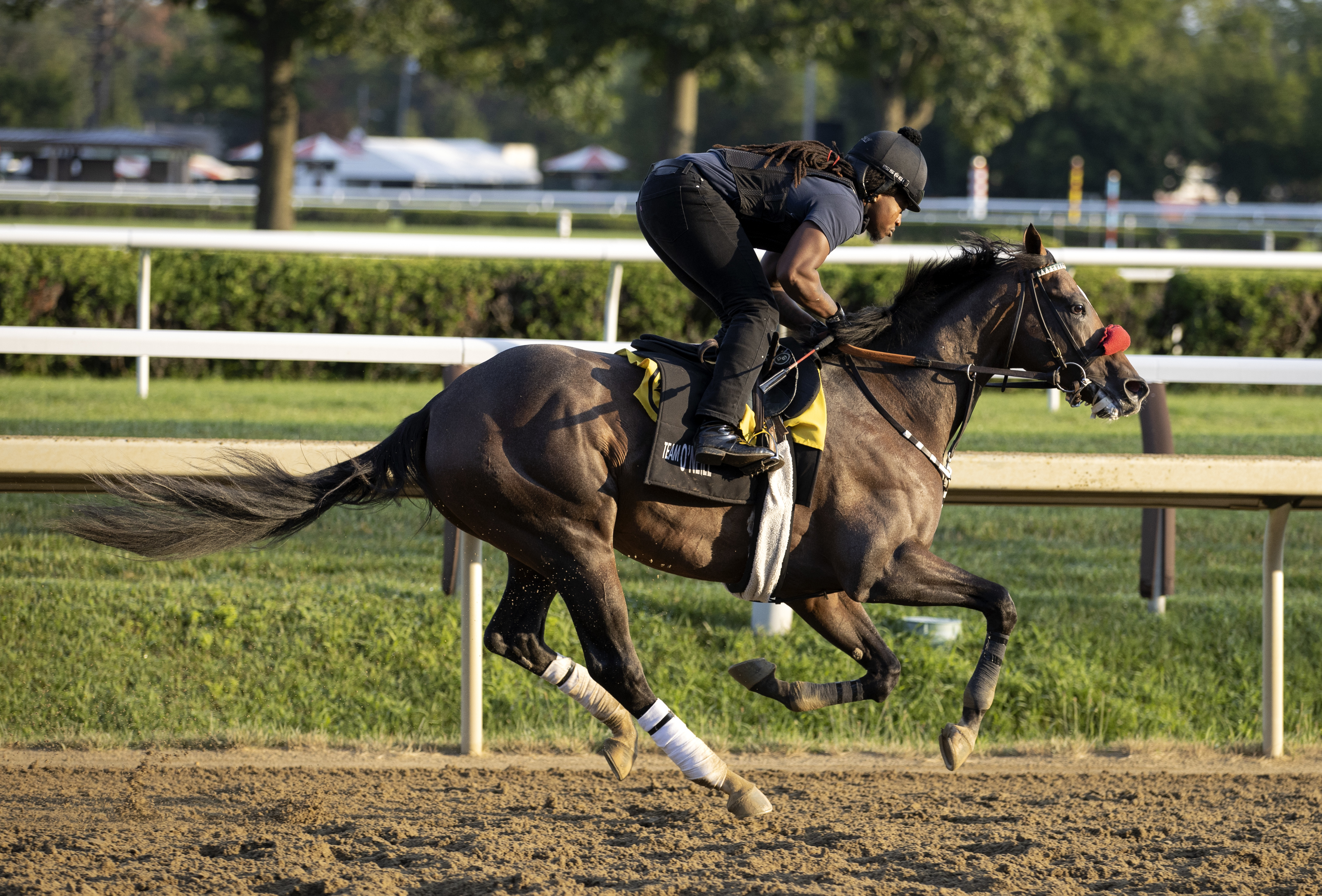 Hot Rod Charlie trains at Saratoga Aug 4 2022