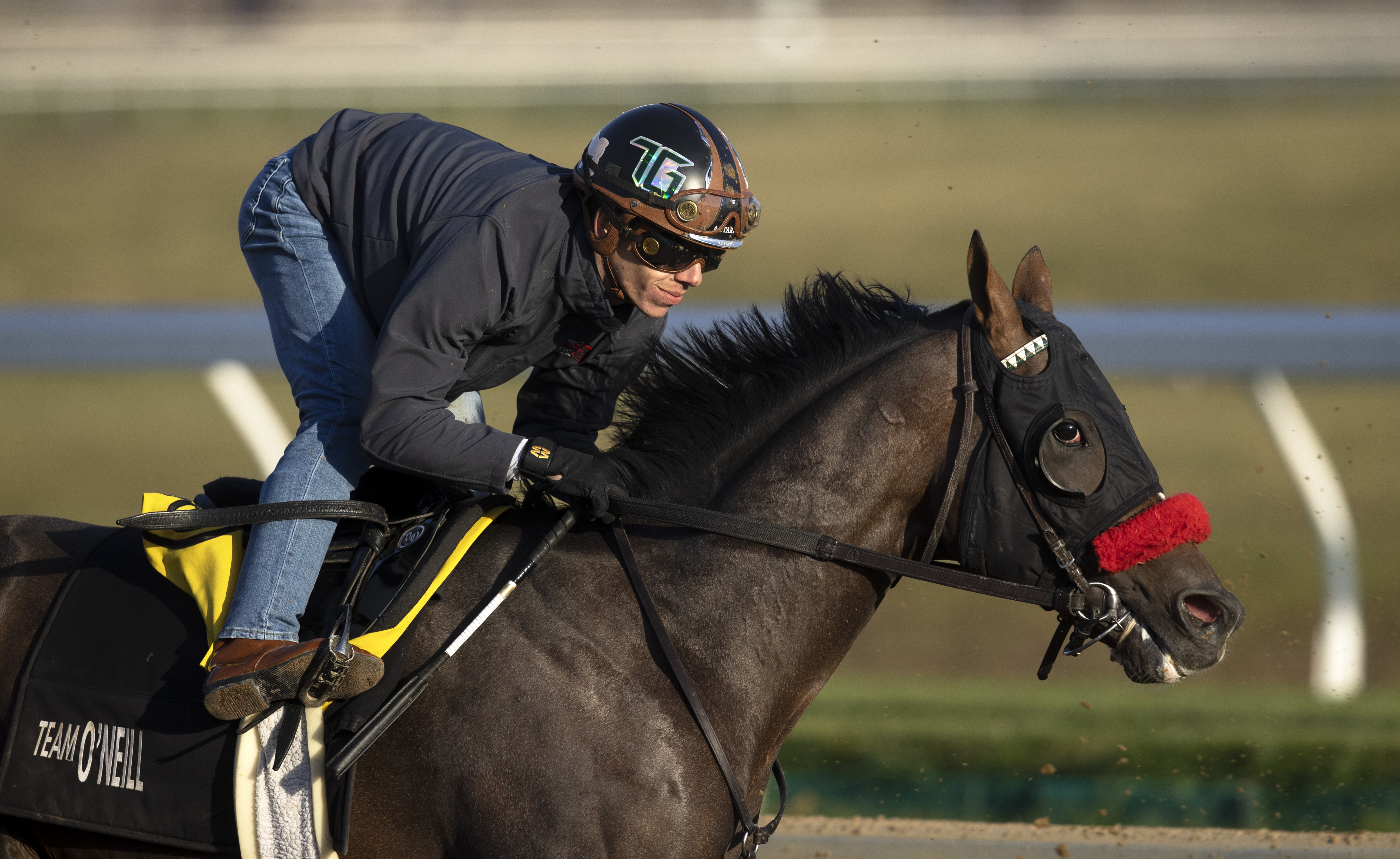 Hot Rod Charlie retired, will stand stud in Japan