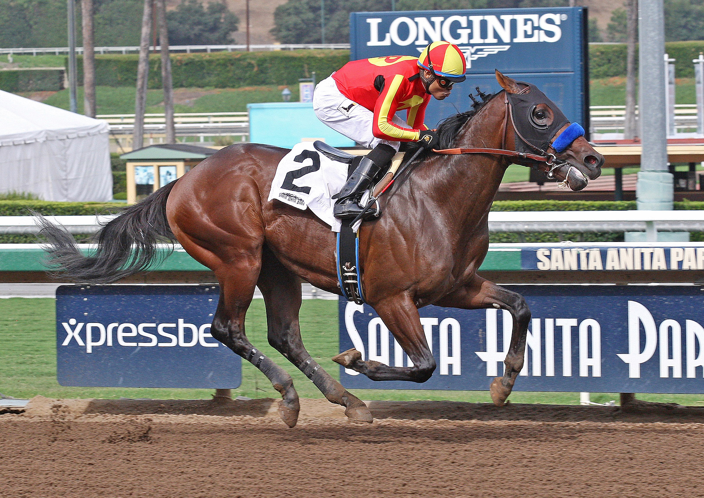 Hot Sean wins an Oct. 27, 2016, optional claiming race