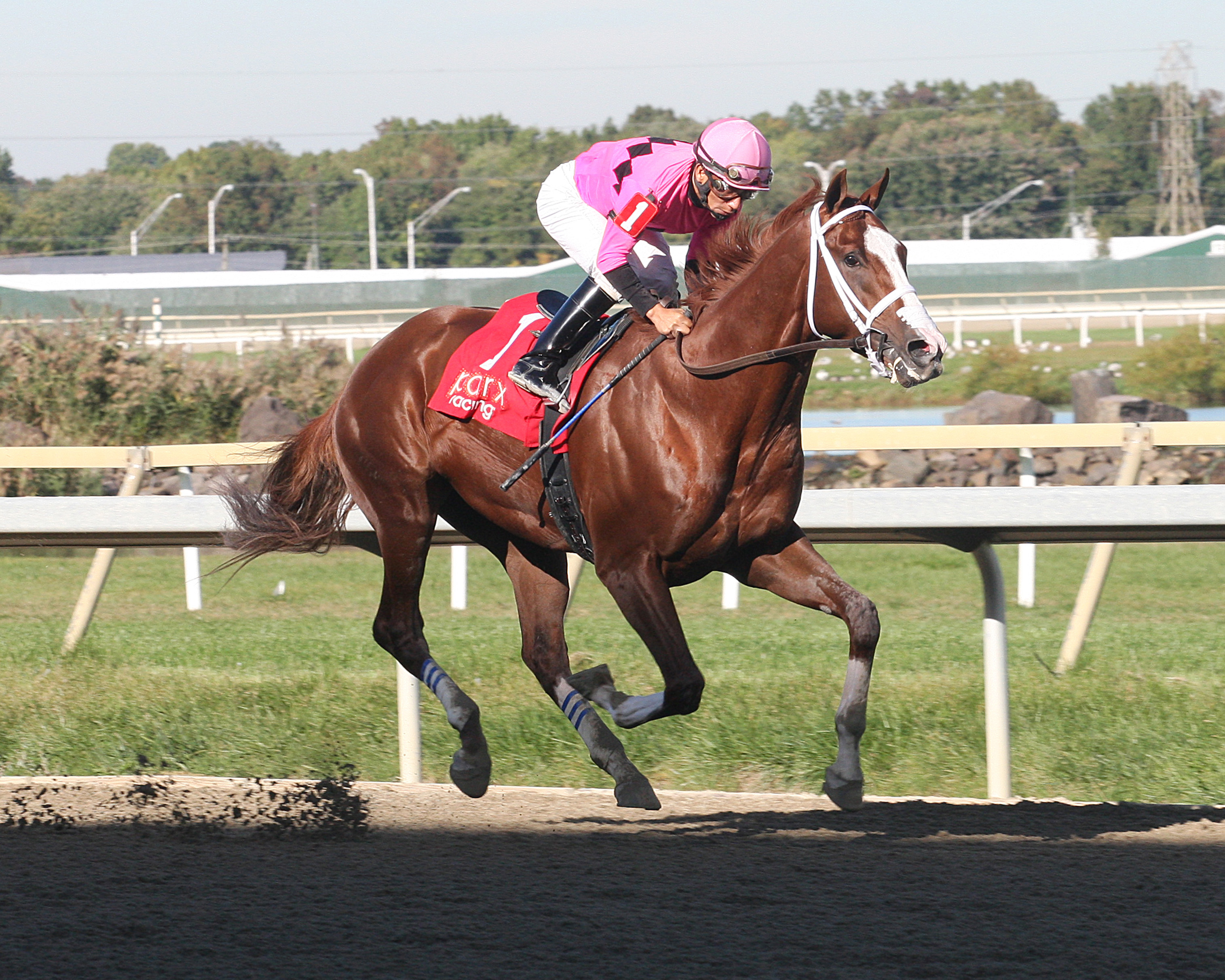 Hot Seat wins an Oct. 11 allowance