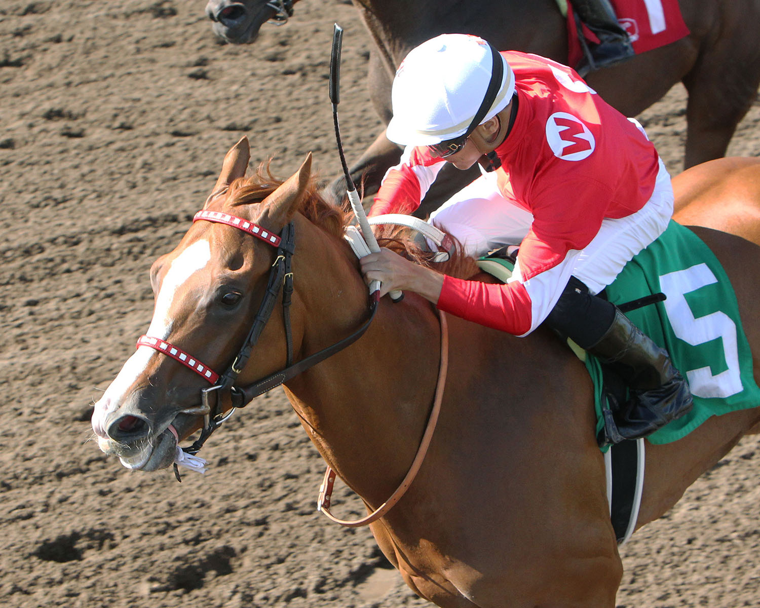 Hot Shot Kid wins the 2017 Minnesota Derby