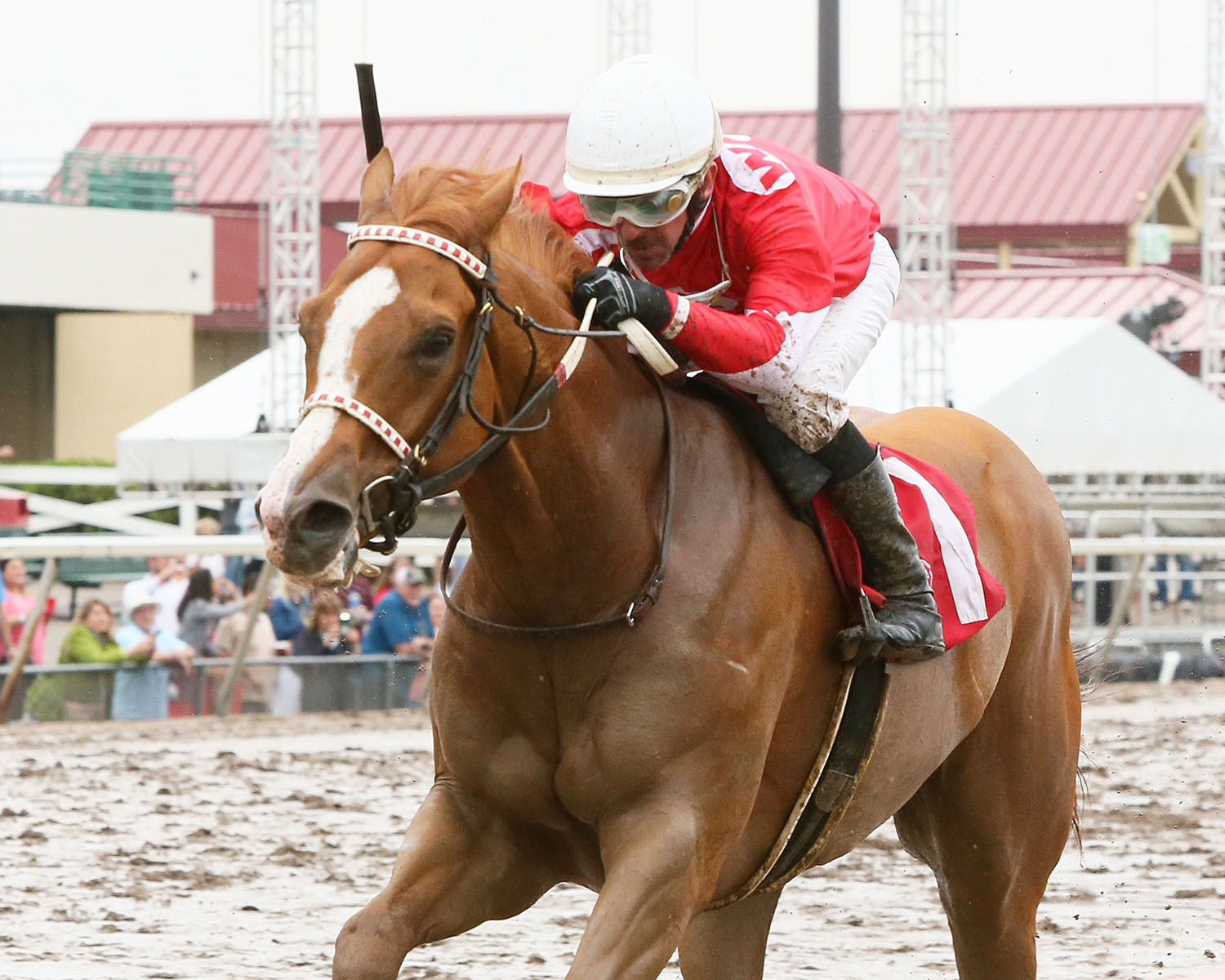 Hot Shot Kid wins the 2018 Minnesota Turf Stakes