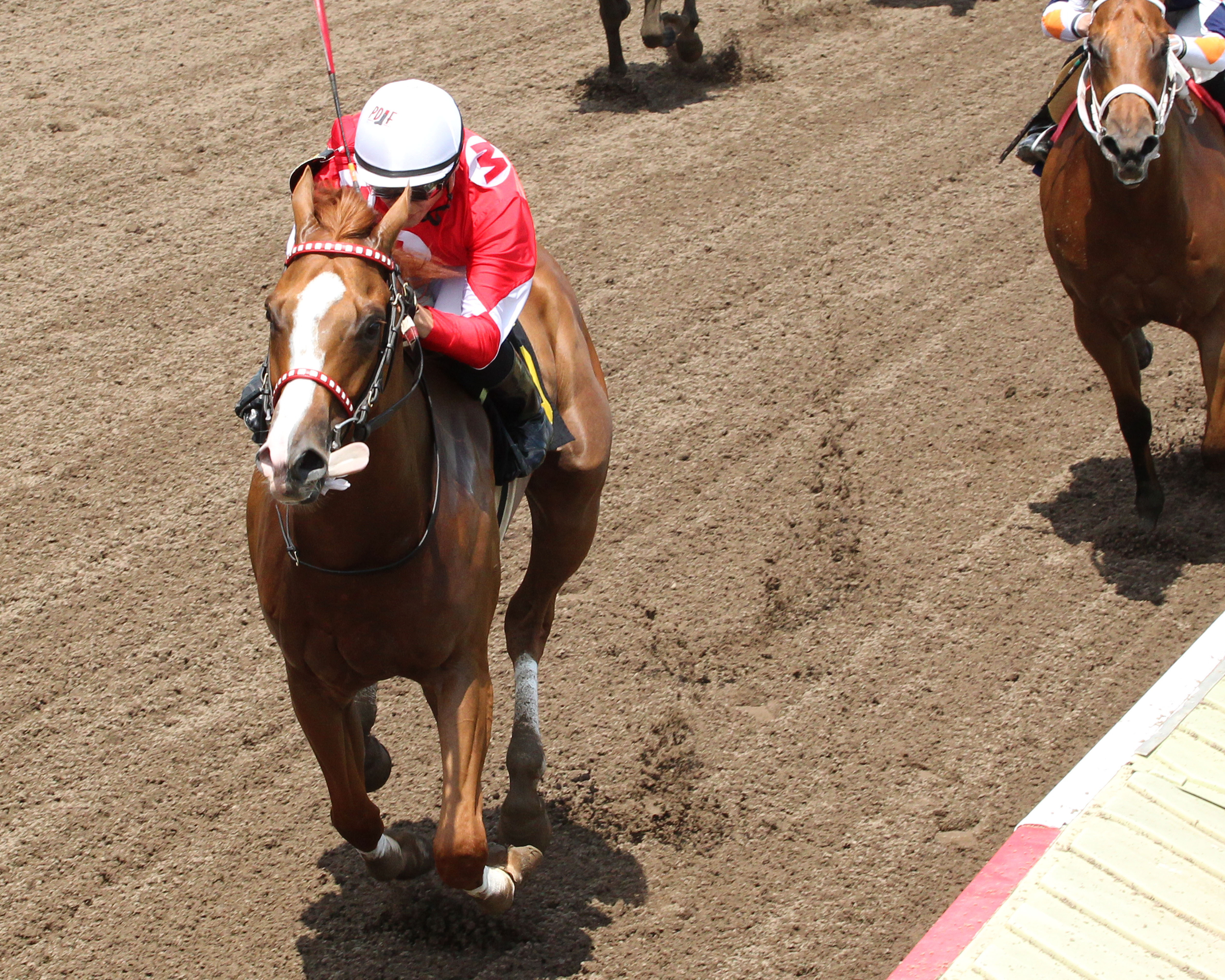 Hot Shot Kid wins the 2017 Victor S. Myers Stakes